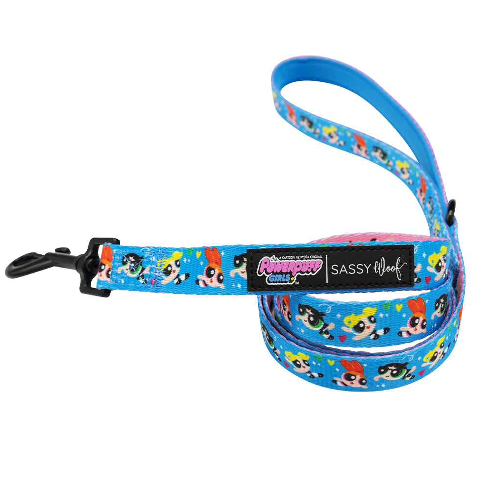 Dog Leash - The Powerpuff Girls™ (Blue)