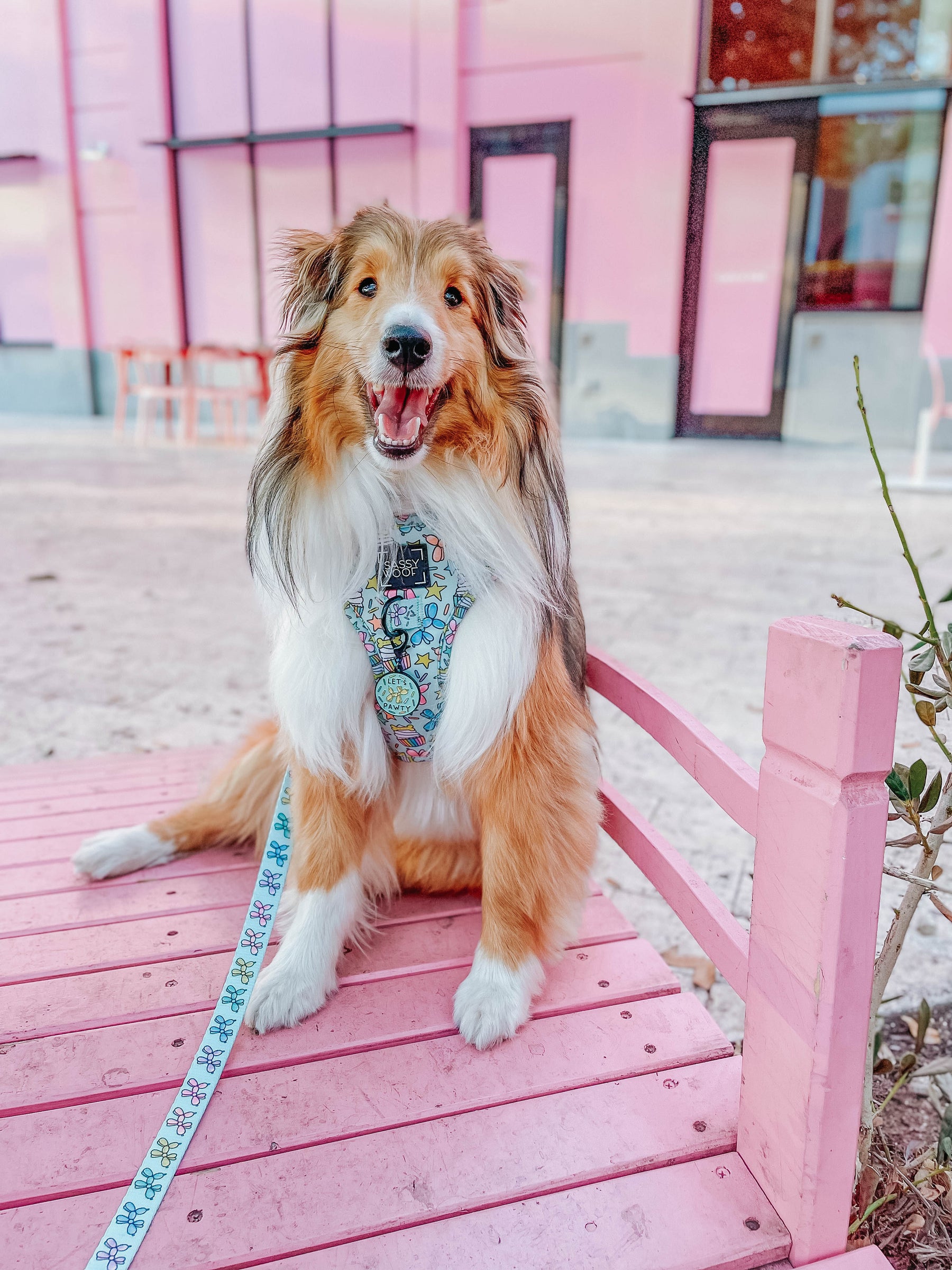 INFLUENCER_CONTENT | @KIRBYTHEFURBABY