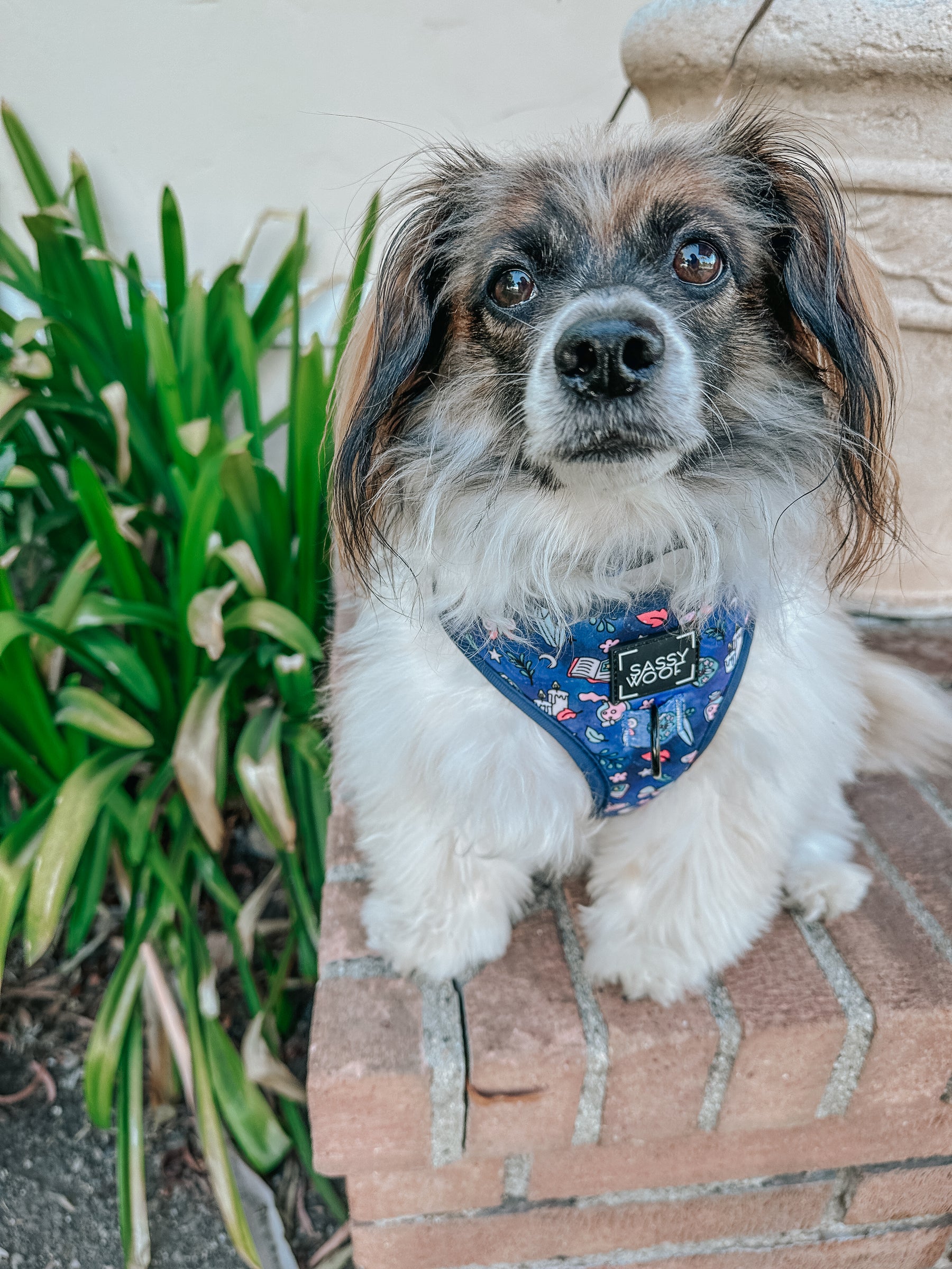INFLUENCER_CONTENT | @RESCUINGRUTHIE | SIZE XS