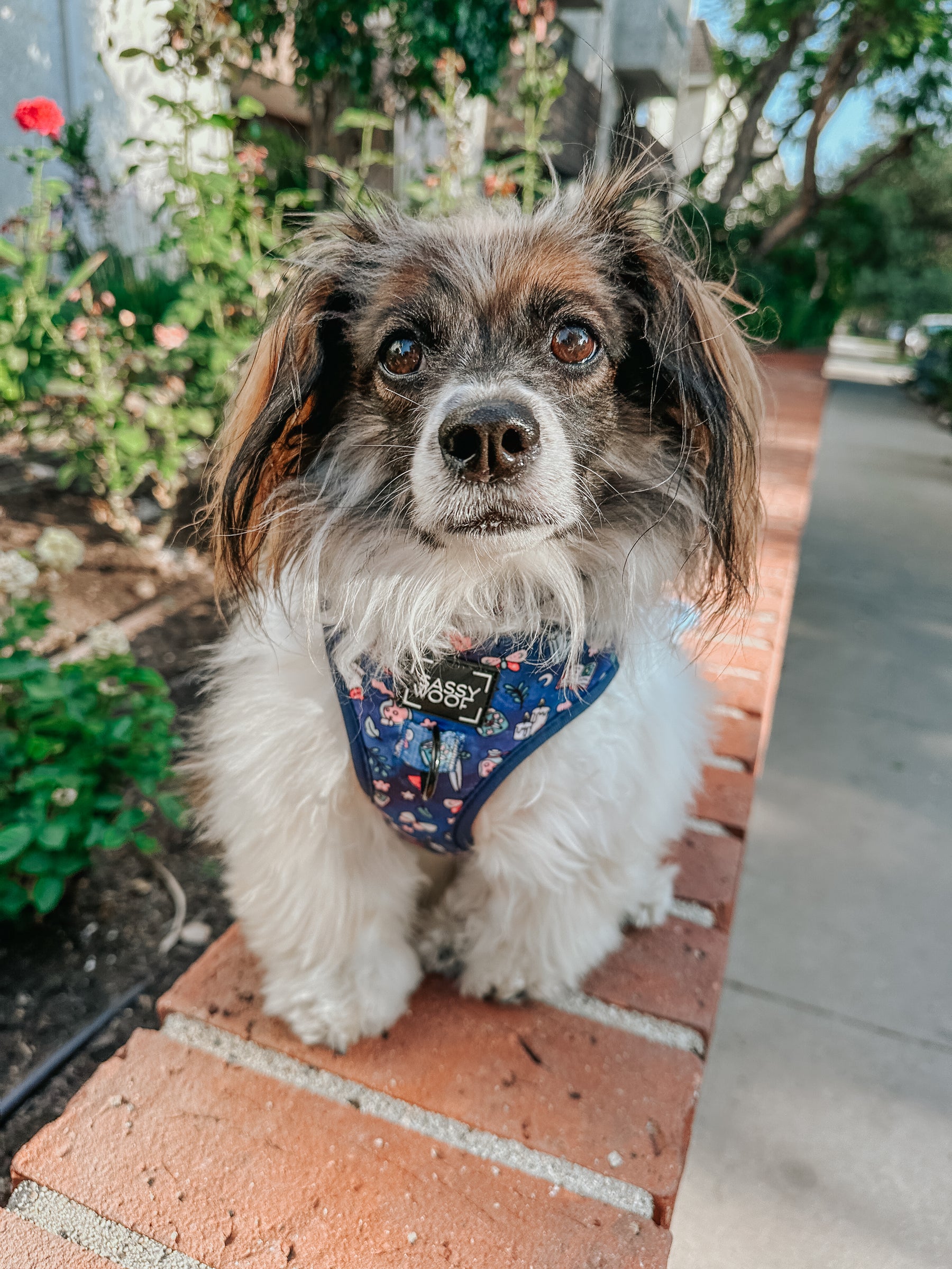 INFLUENCER_CONTENT | @RESCUINGRUTHIE | SIZE XS