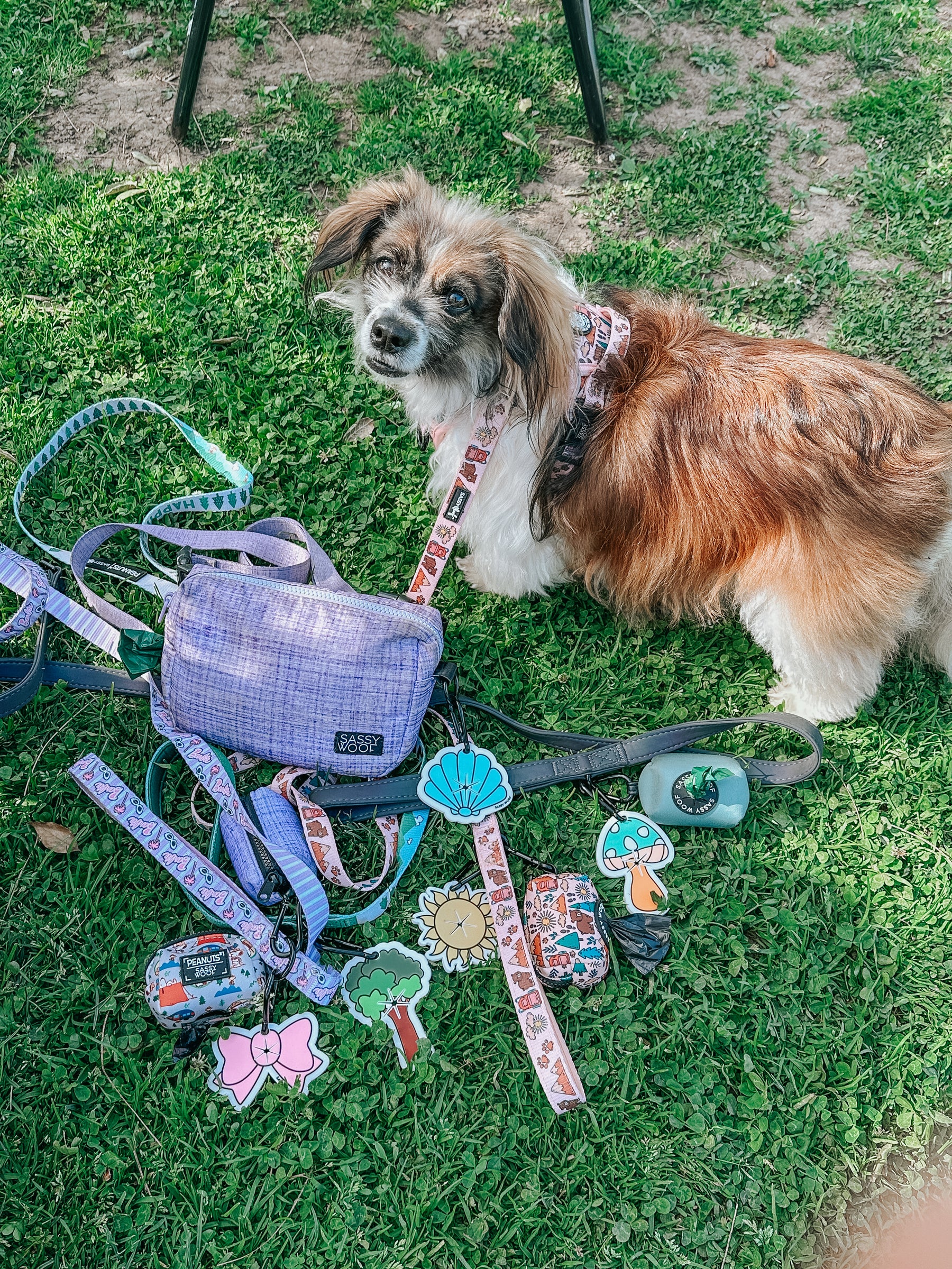 INFLUENCER_CONTENT | @RESCUINGRUTHIE