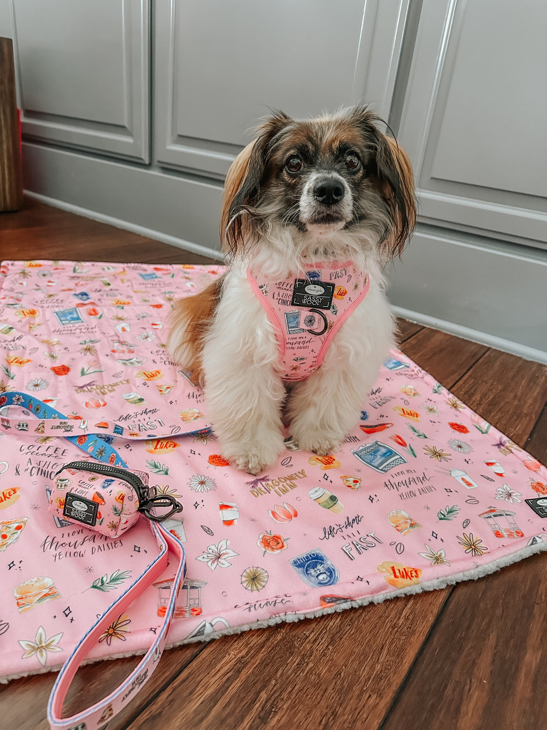 INFLUENCER_CONTENT | @RESCUINGRUTHIE