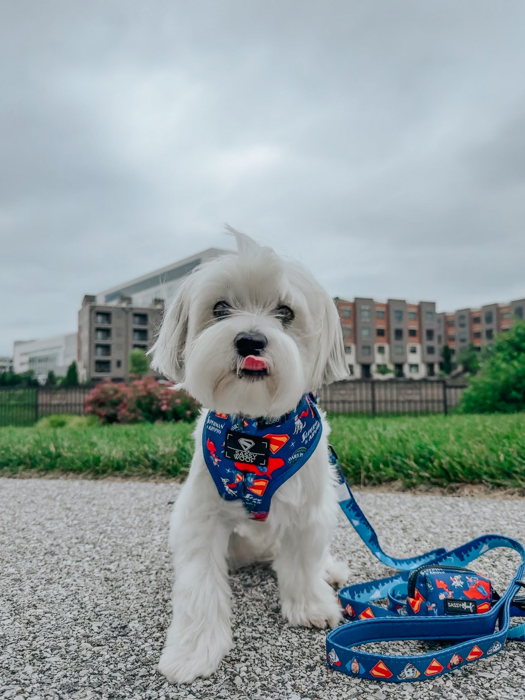 INFLUENCER_CONTENT | @ROCKYNYCMORKIE | SIZE XS