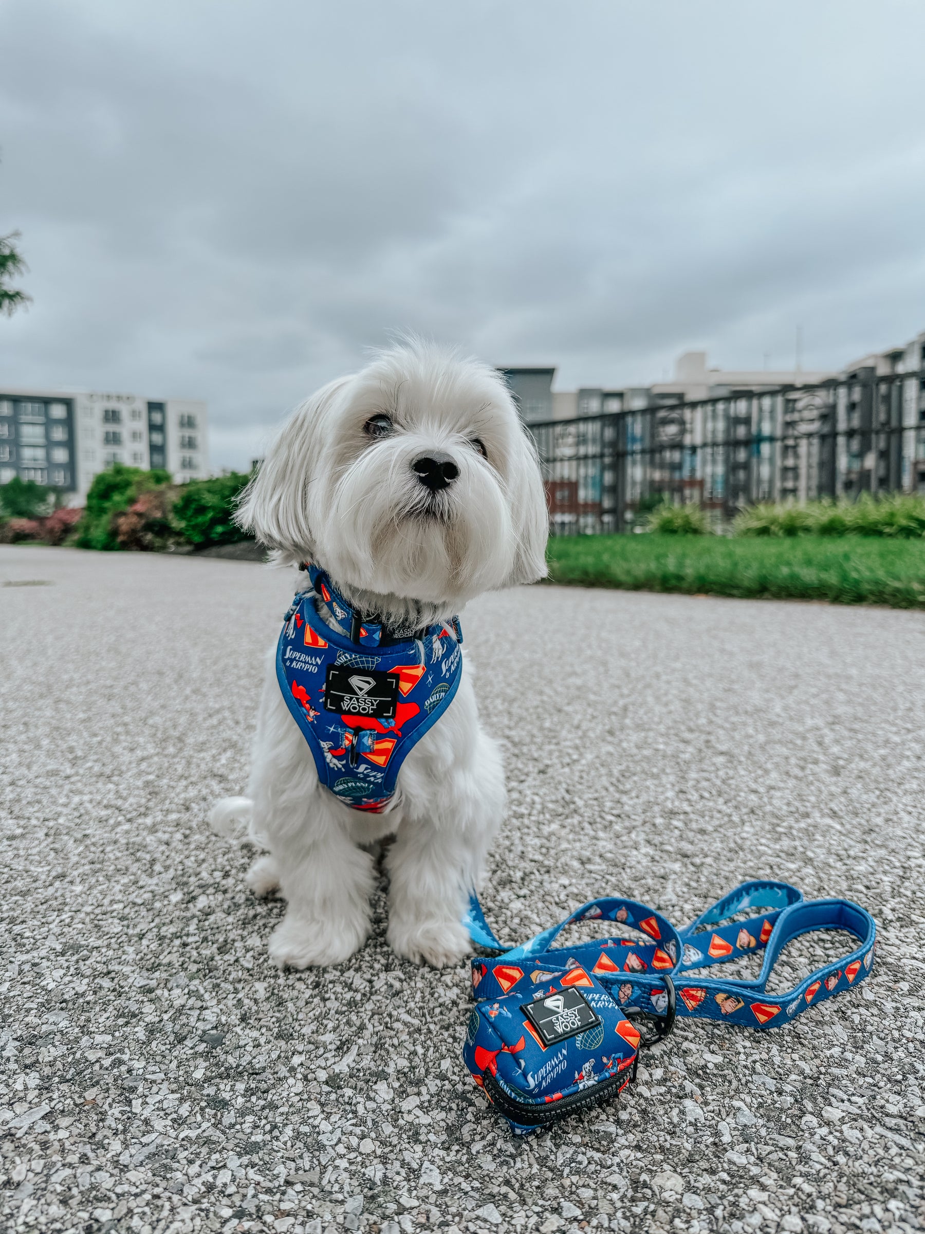 INFLUENCER_CONTENT | @ROCKYNYCMORKIE | SIZE S & XS