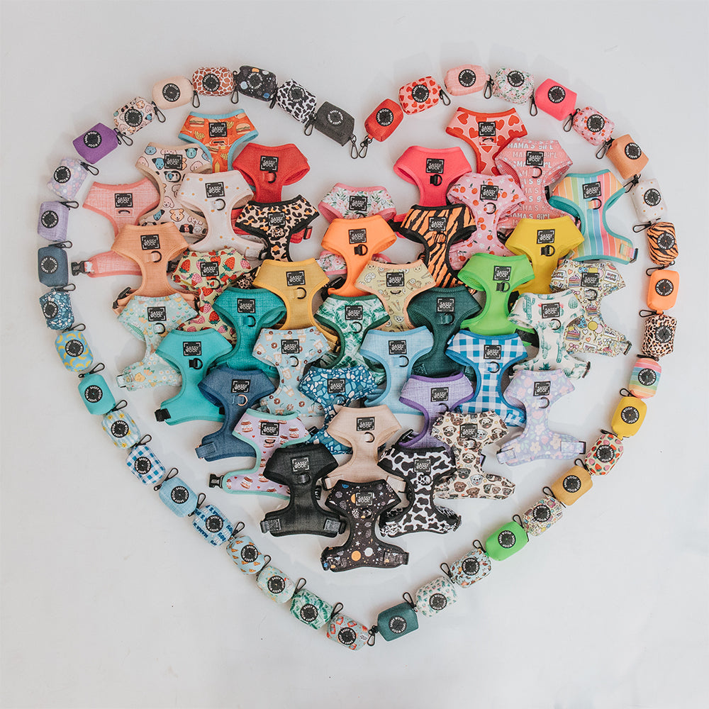 Heart-shaped arrangement of colorful, patterned tape dispensers and matching rolls, organized neatly on a white background. The dispensers feature various colors and prints, including floral, animal, and geometric designs.
