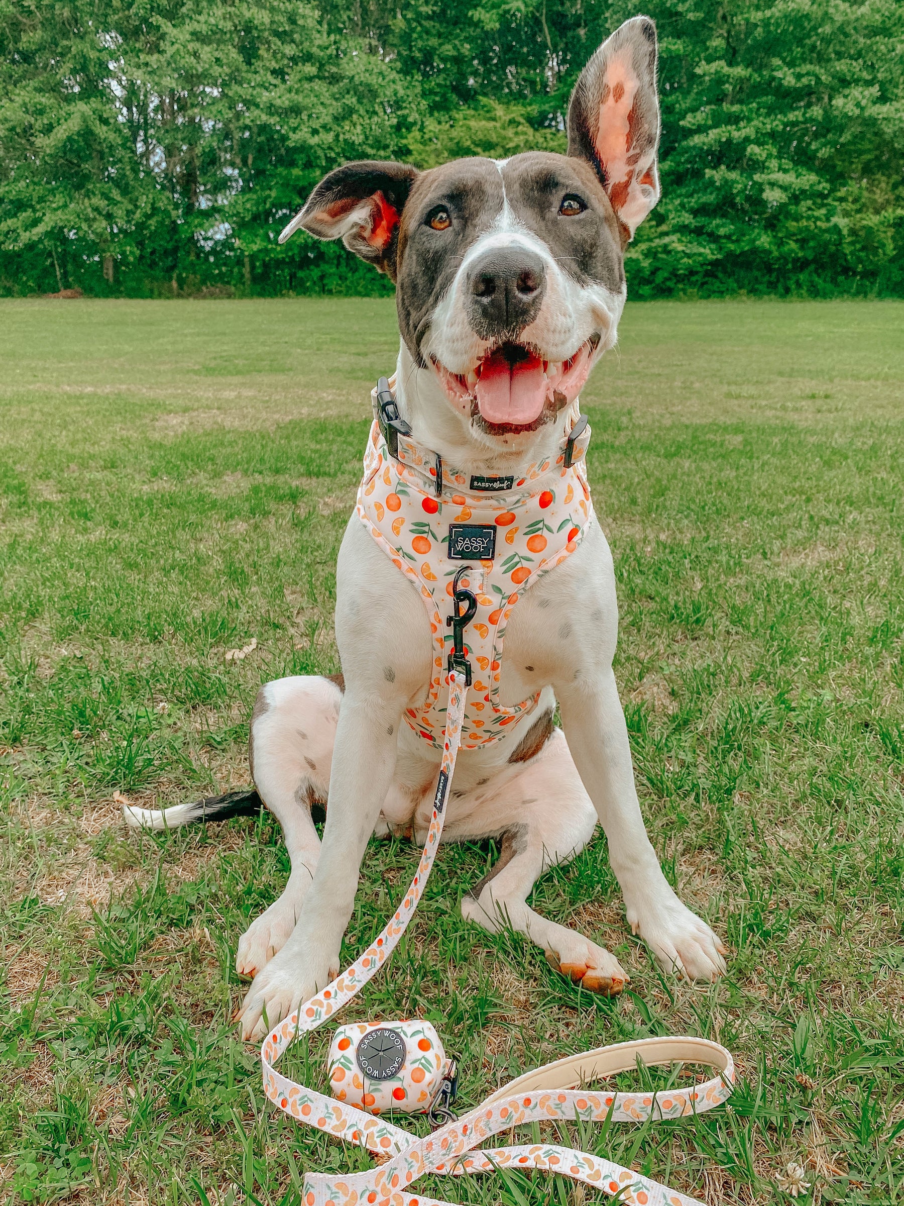 INFLUENCER_CONTENT | @BELLATRIXSWAN | SIZE L