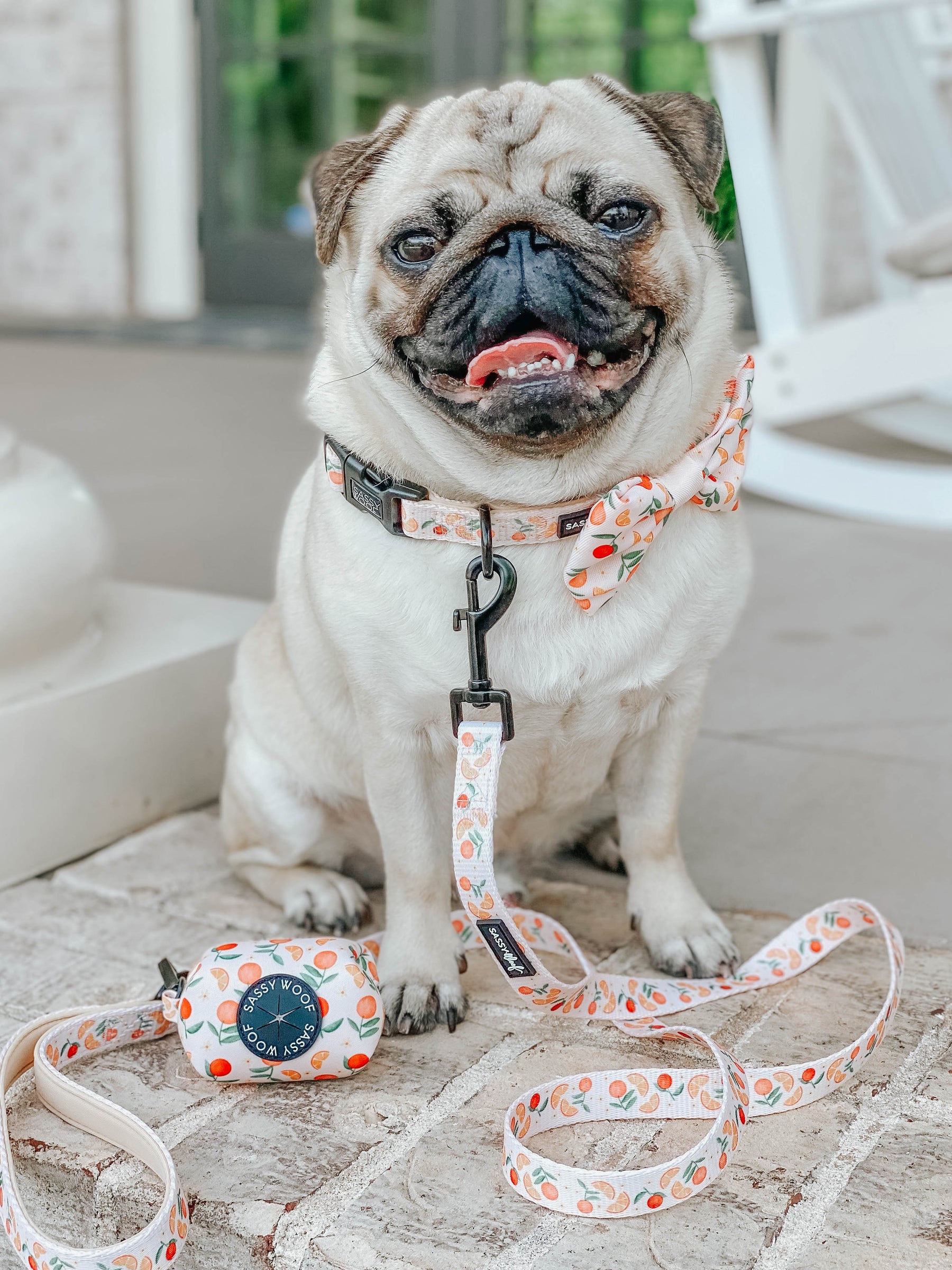 INFLUENCER_CONTENT | @ATOASTYPUG | SIZE M