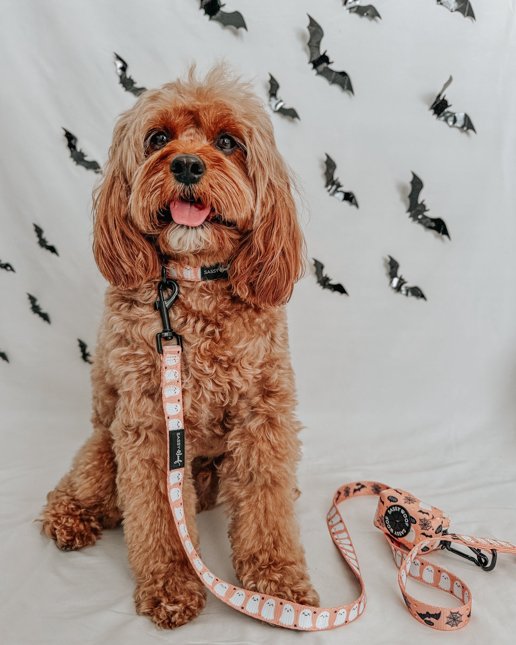 INFLUENCER_CONTENT | @SIT_OLLIE_SIT | SIZE S