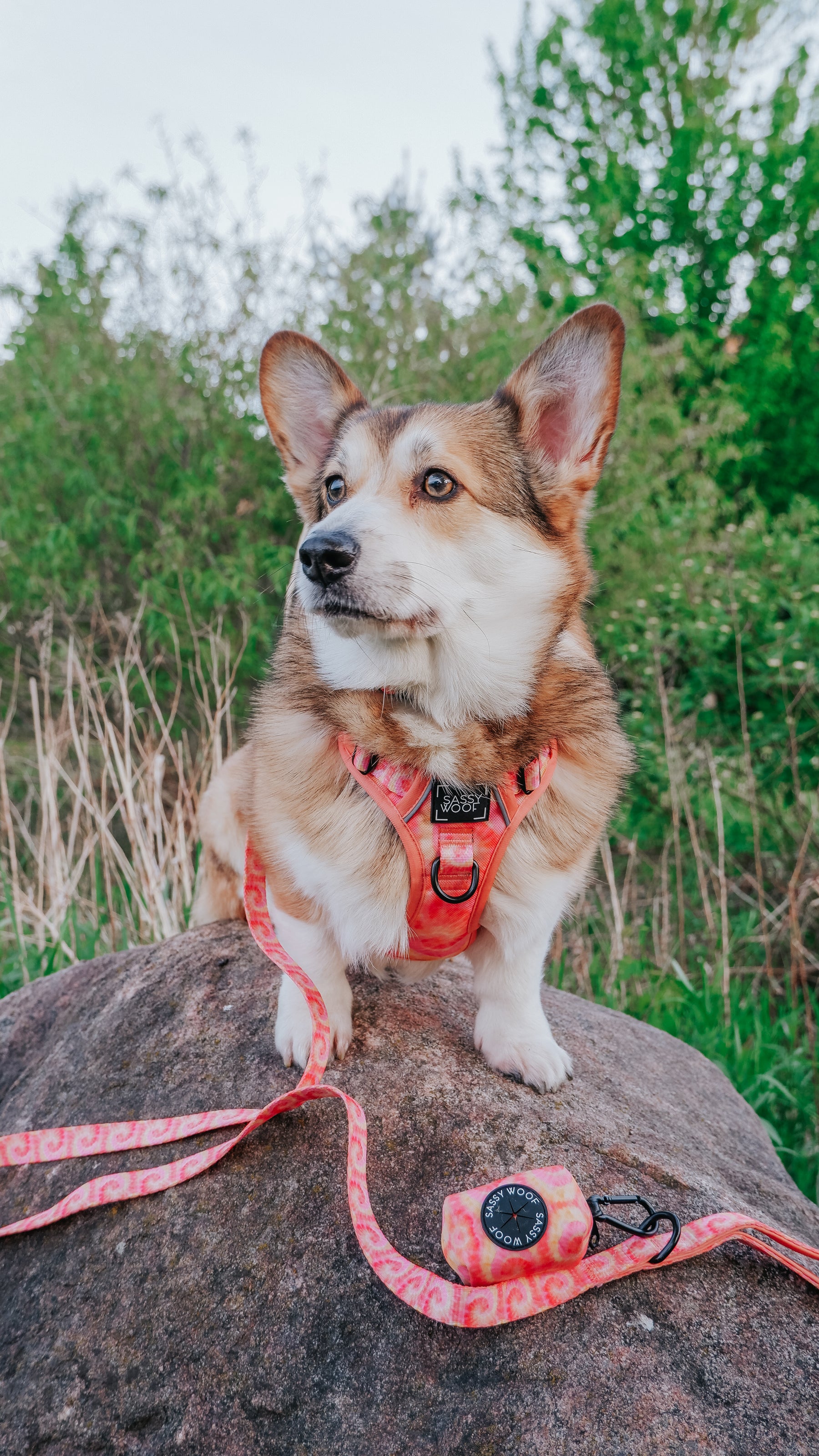 INFLUENCER_CONTENT | @STRAWBERRYWAFFLECORGI | SIZE S
