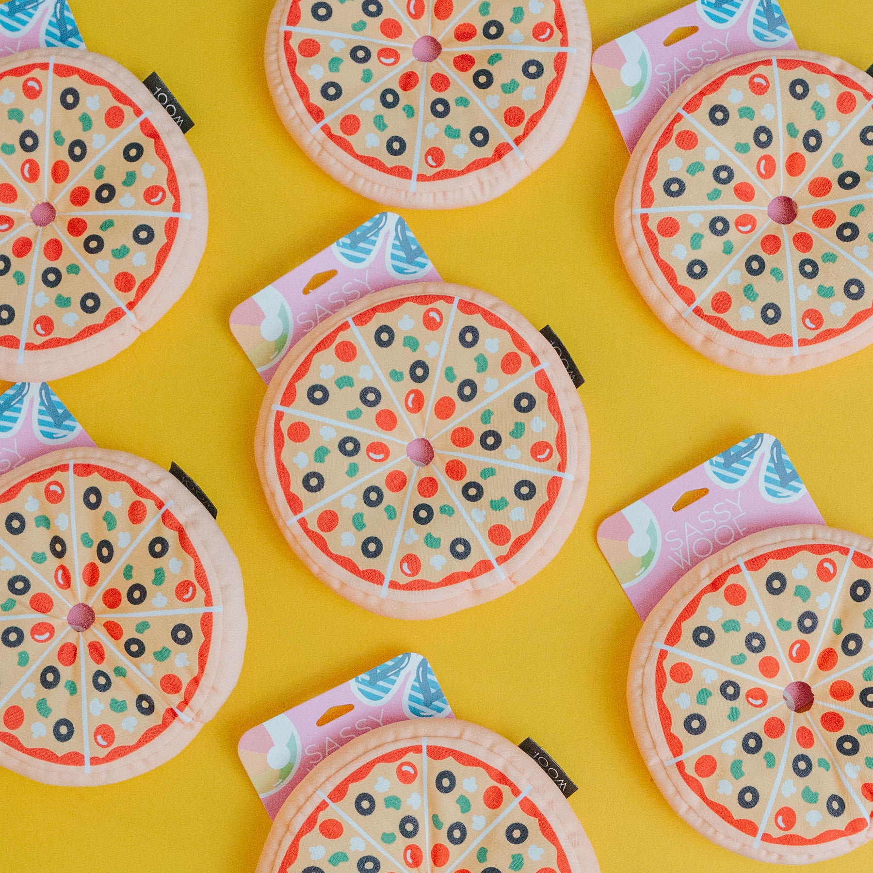 Dog Toy - 'Want a pizza me?'