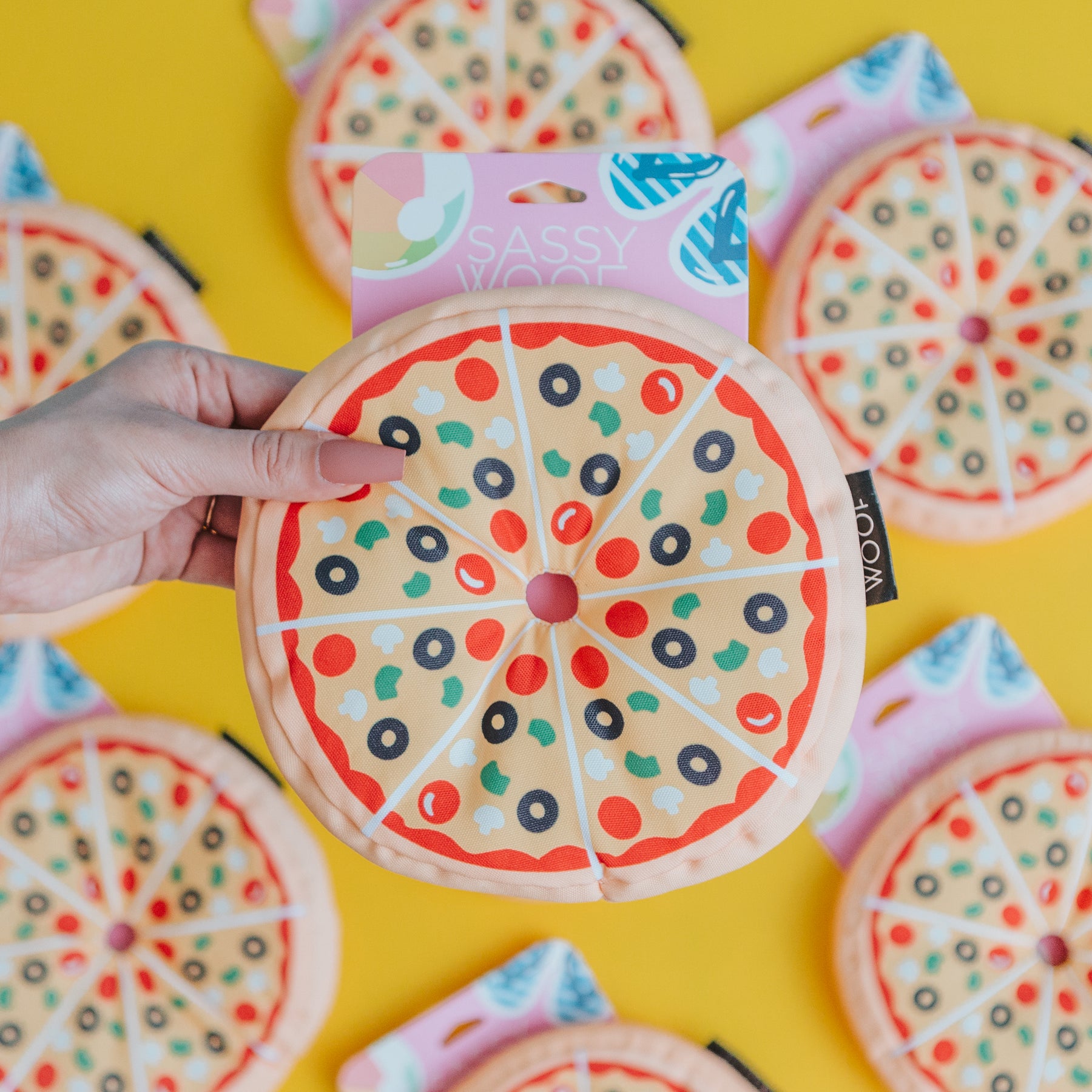 Dog Toy - 'Want a pizza me?'