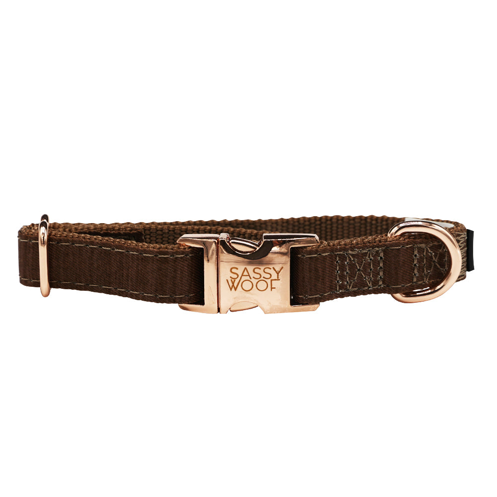 Dog Collar - Teddy