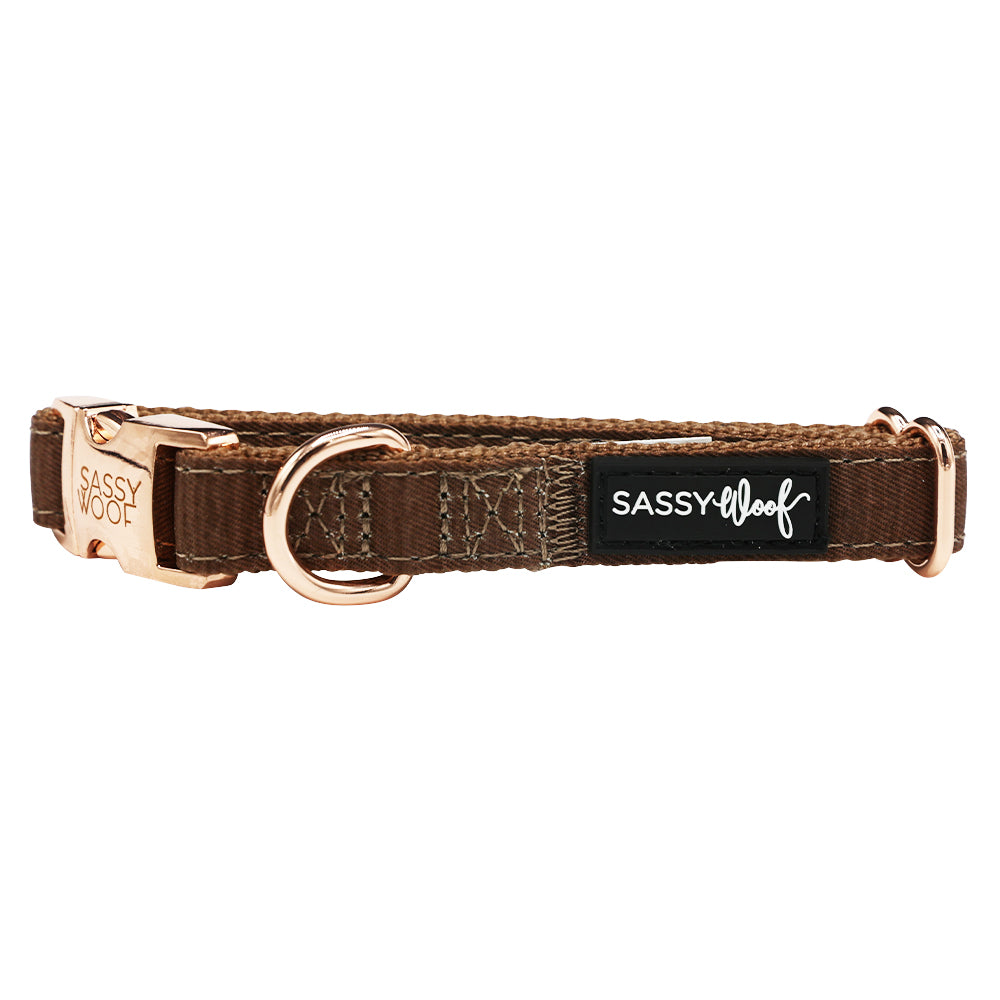 Dog Collar - Teddy