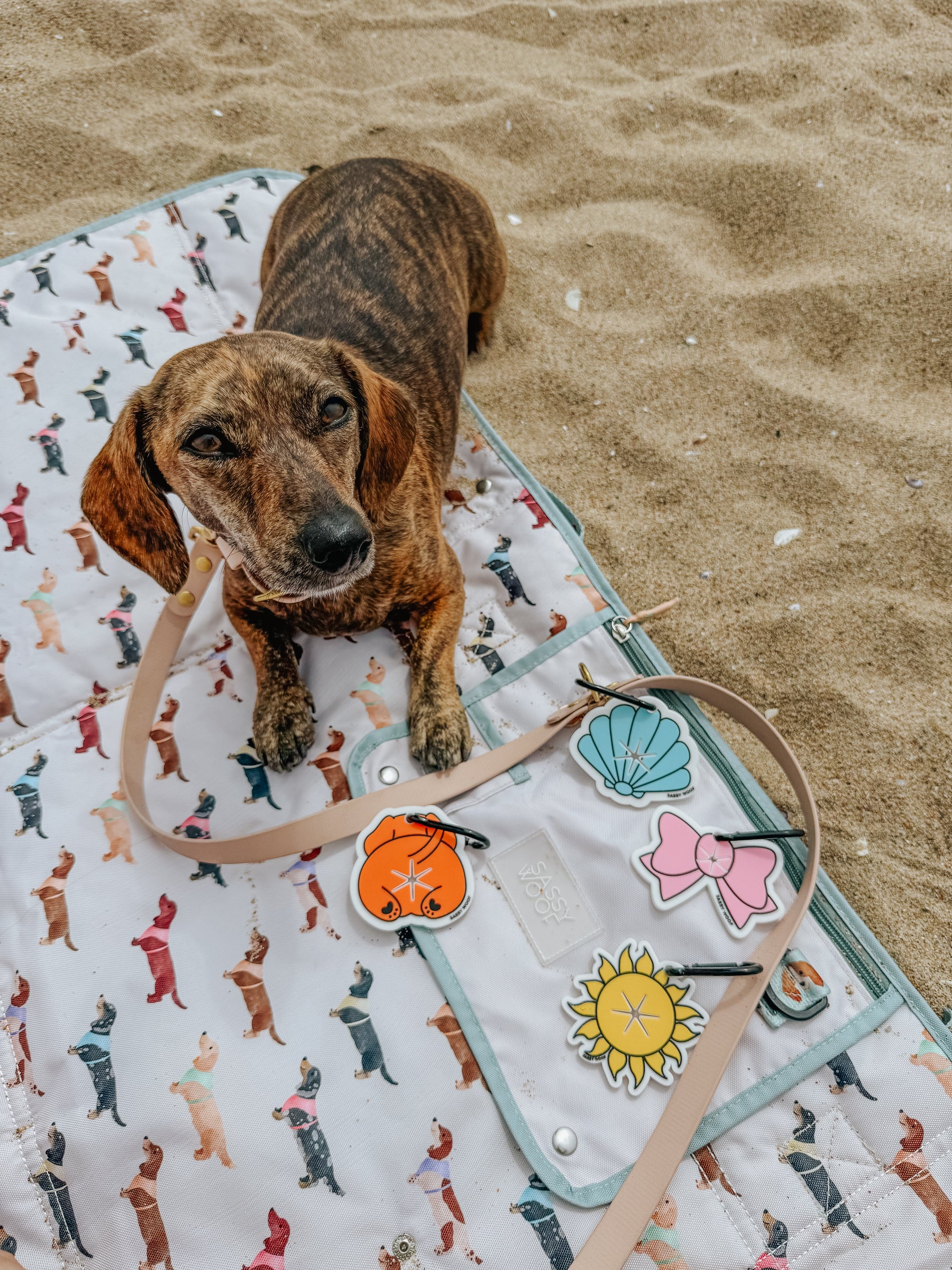 INFLUENCER_CONTENT | @THE_DOXIESQUAD