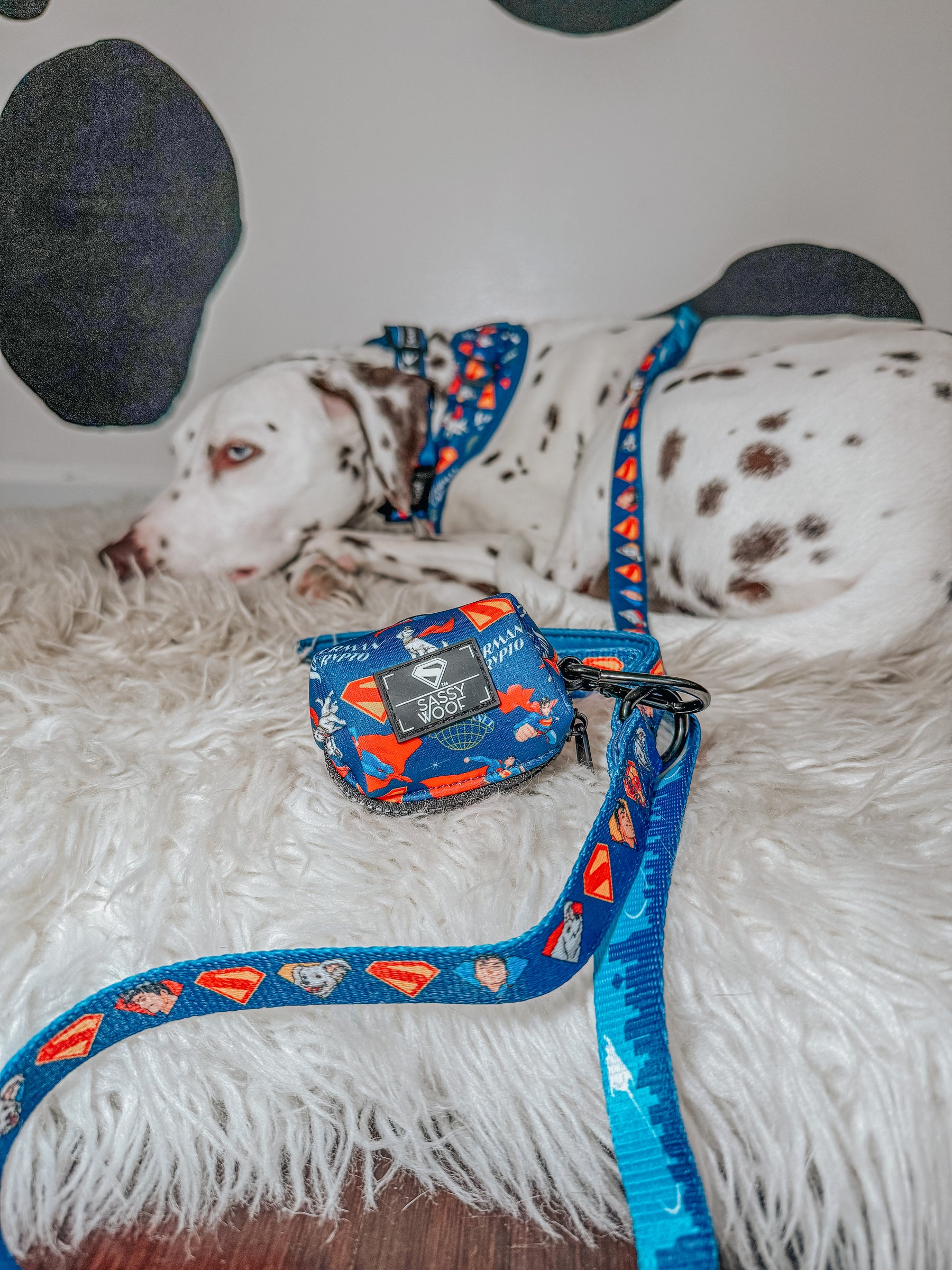 INFLUENCER_CONTENT | @THE.HERO.DOGS | SIZE L & L
