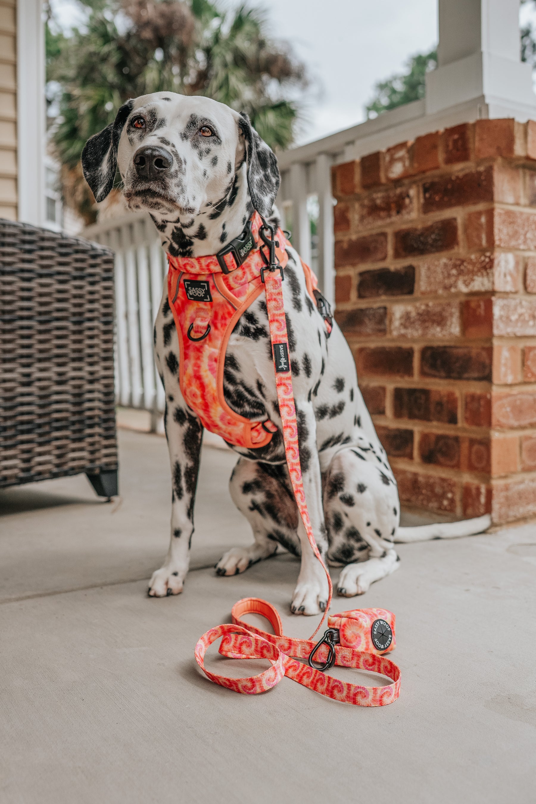 INFLUENCER_CONTENT | @THE.HERO.DOGS | SIZE L