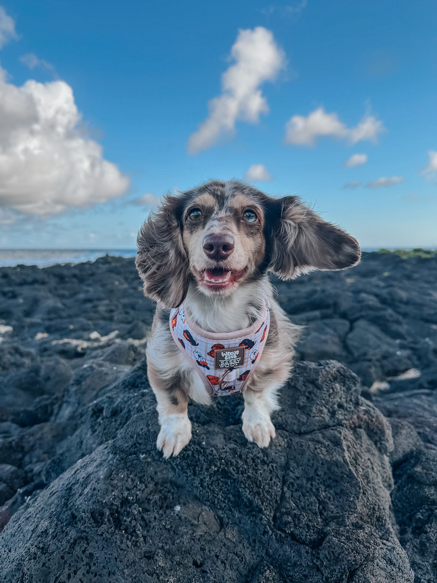 INFLUENCER_CONTENT | @THECHURROGRAM | SIZE XS