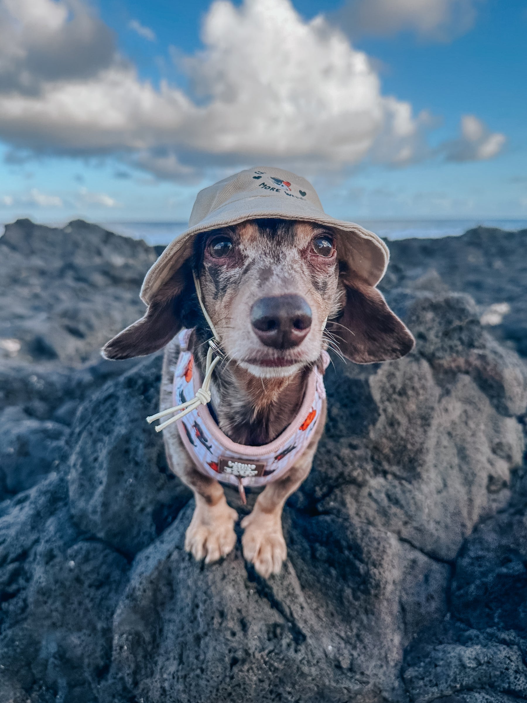 INFLUENCER_CONTENT | @THECHURROGRAM | SIZE XS