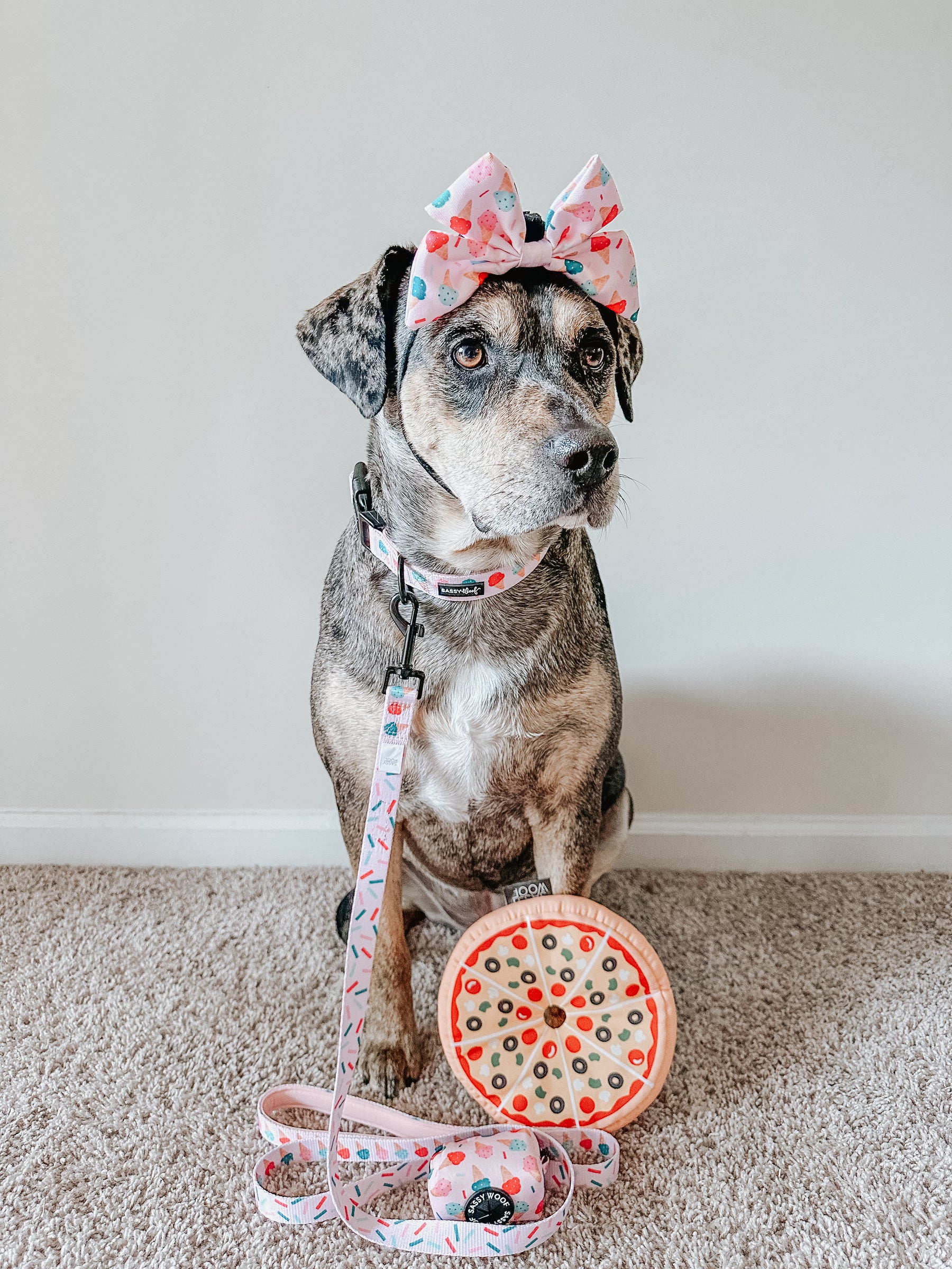Dog Toy - 'Want a pizza me?'
