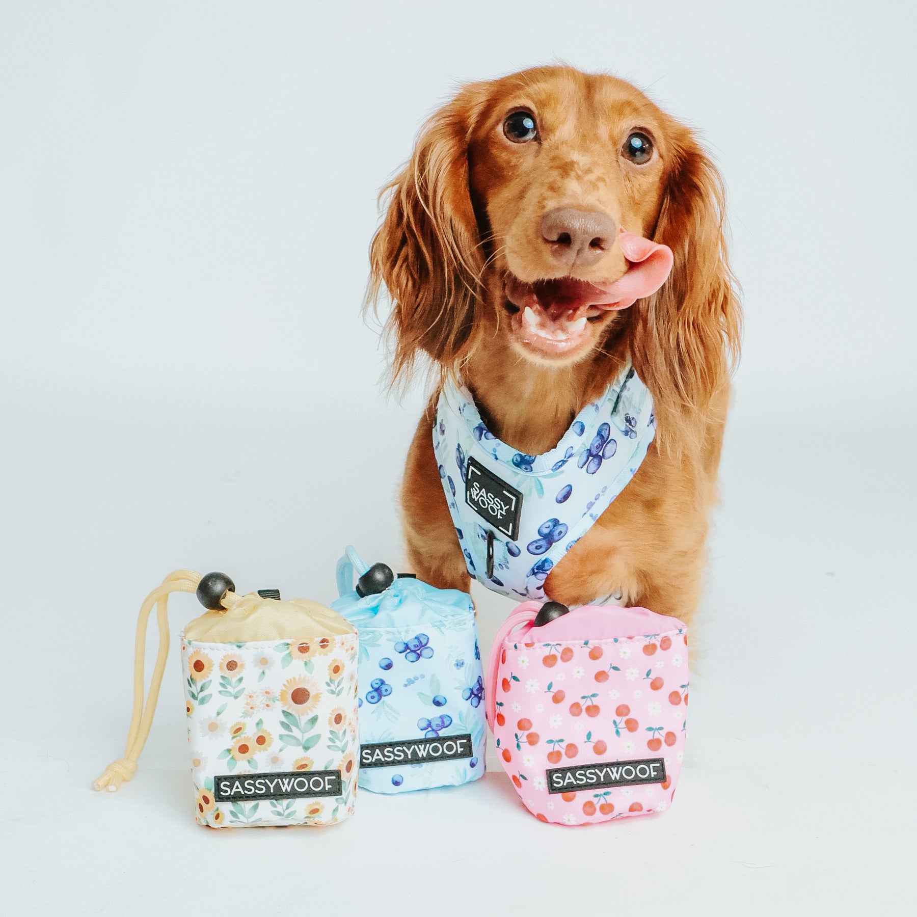 Treat Pouch - Berry Sassy