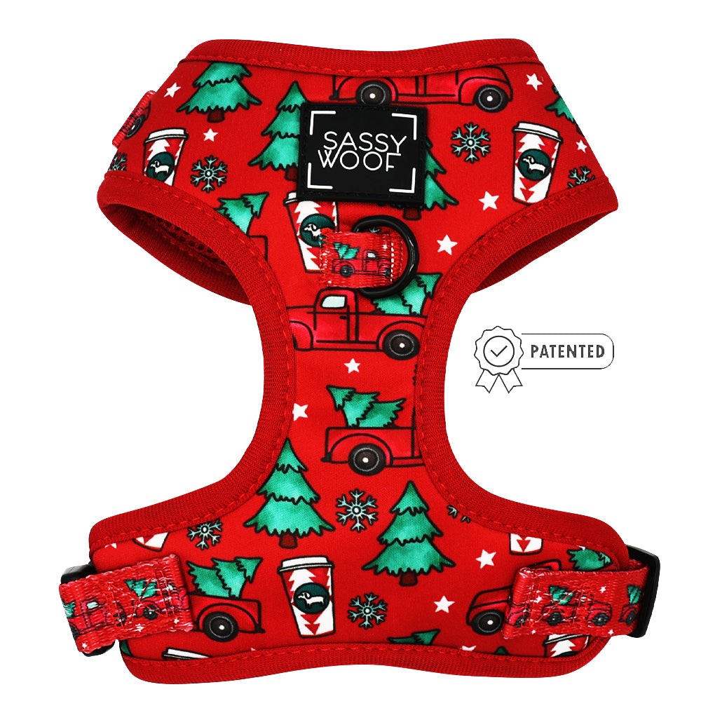 Dog Two Piece Bundle - O Christmas Treat