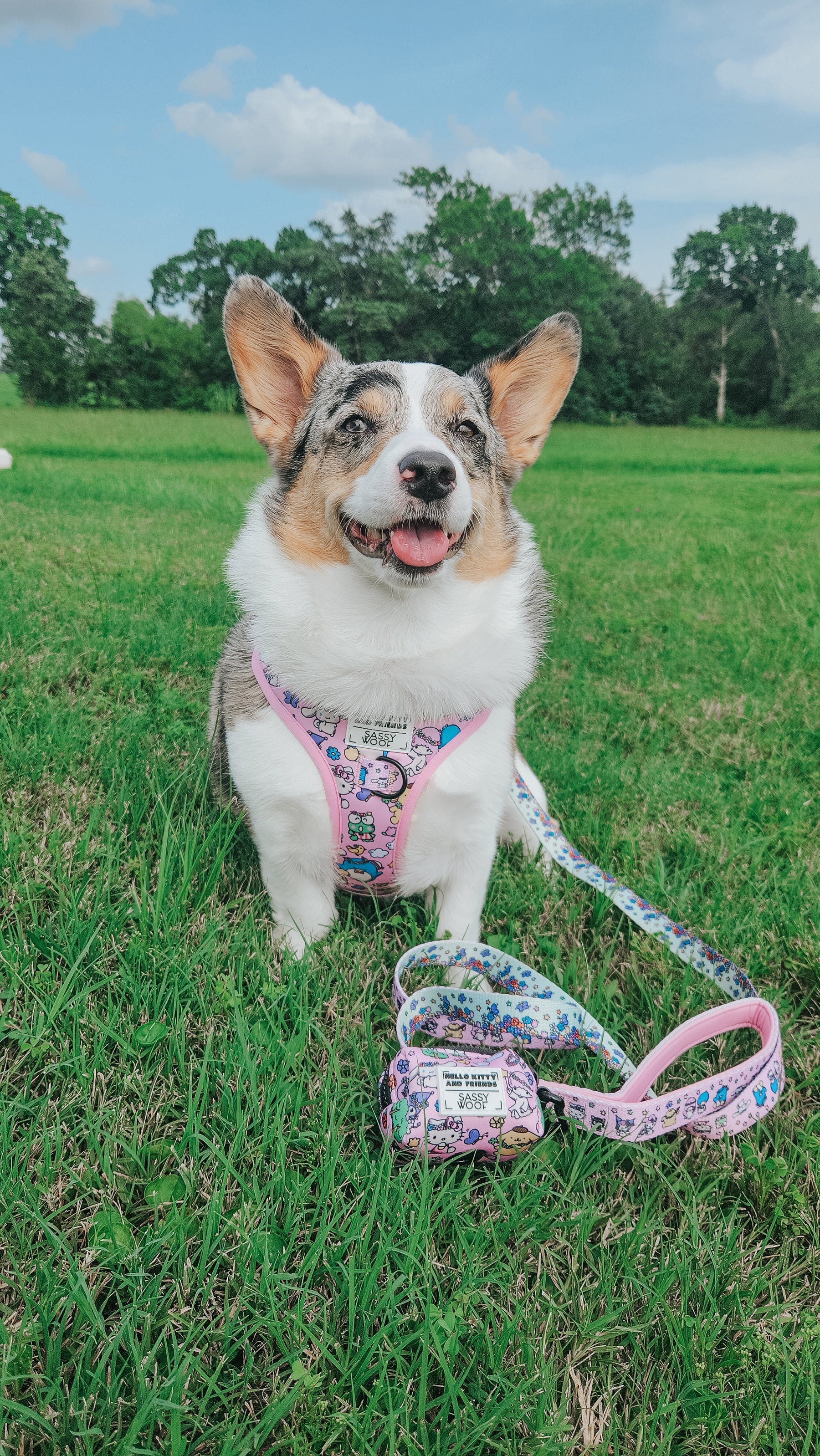 INFLUENCER_CONTENT | @PETUNIAJUNE_CORGI | SIZE M & M