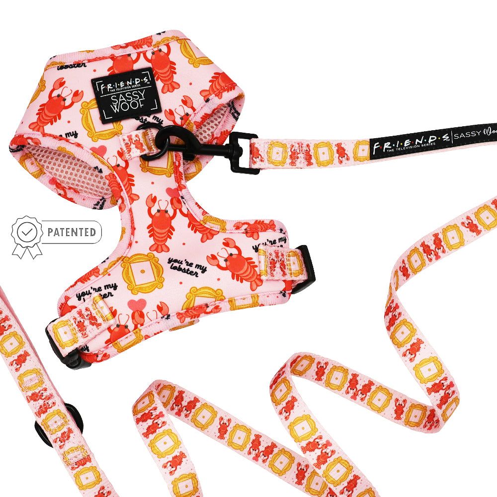 Dog Two Piece Bundle - Friends™ (Lobster)