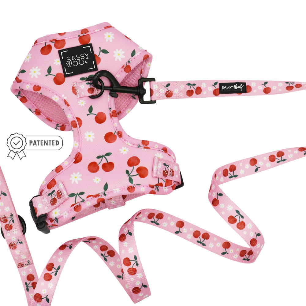 Dog Two Piece Bundle - Mon Chérry