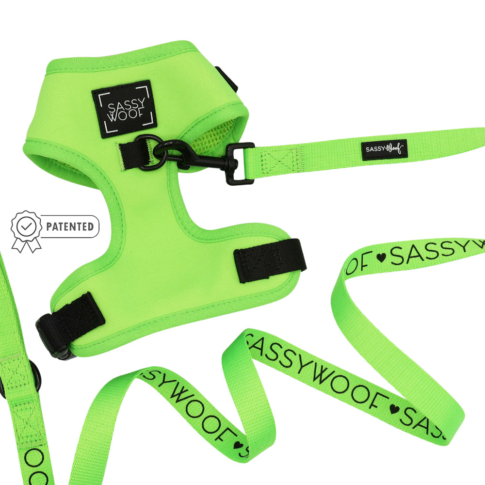 Dog Two Piece Bundle Neon Green Sassy Woof Product
