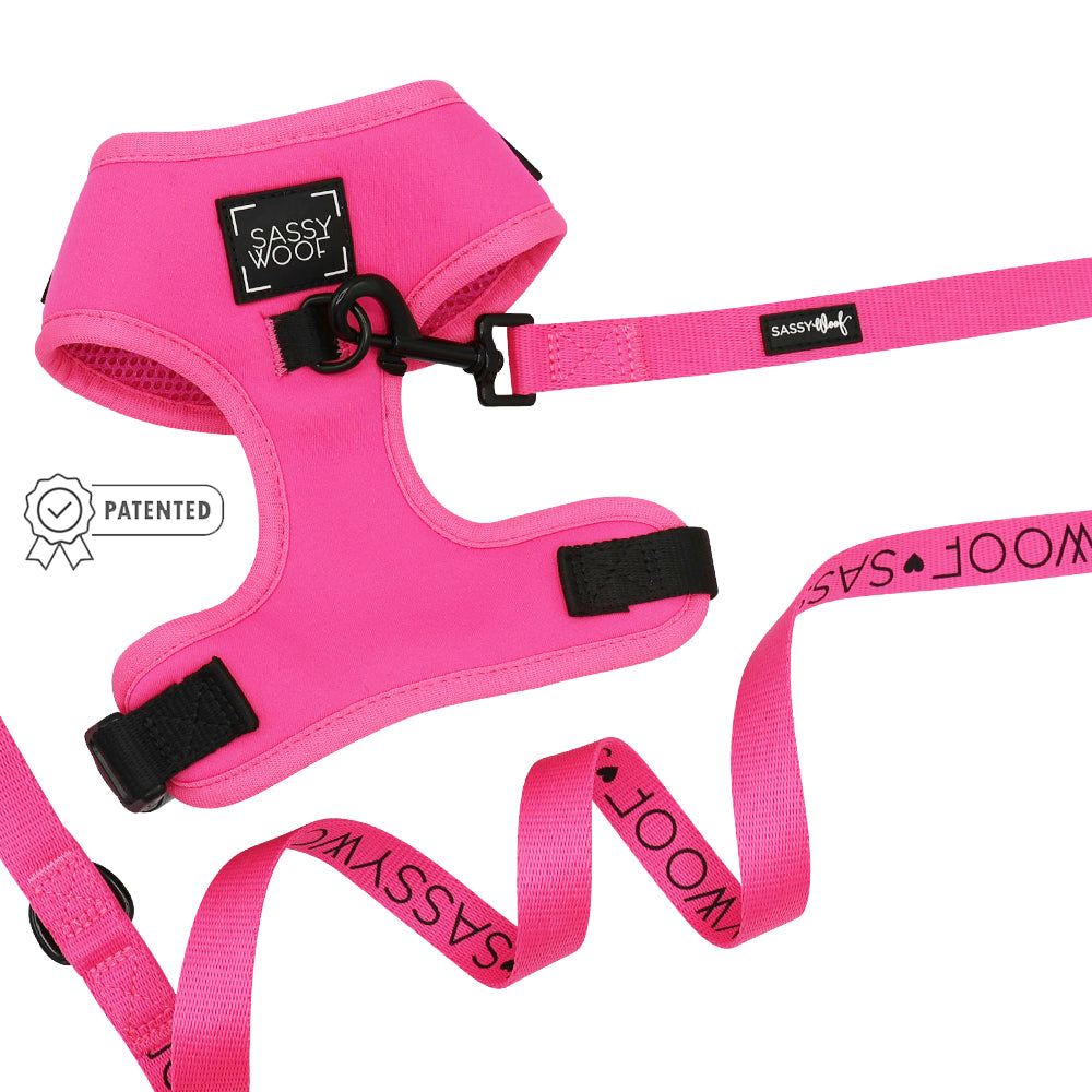 Dog Two Piece Bundle - Neon Pink