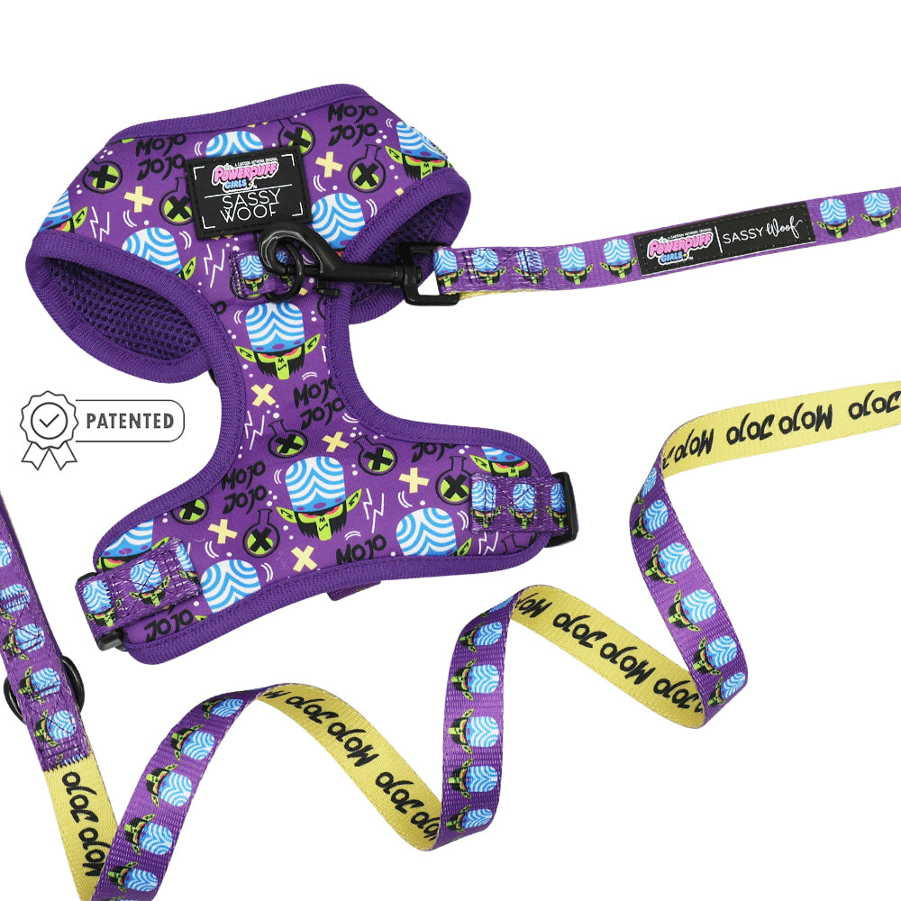 Dog Two Piece Bundle - Mojo Jojo™