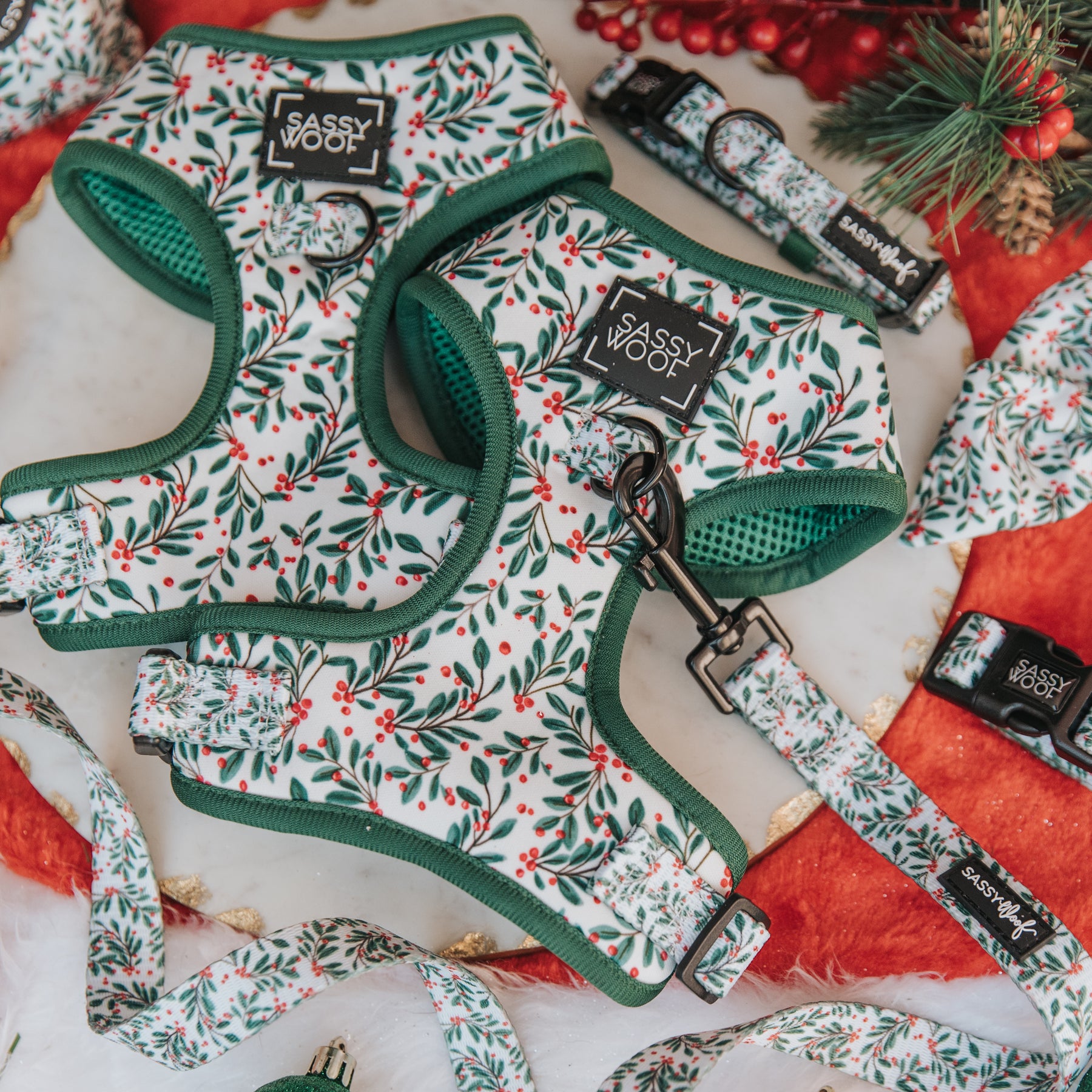 Dog Two Piece Bundle - Under the Mistletoe