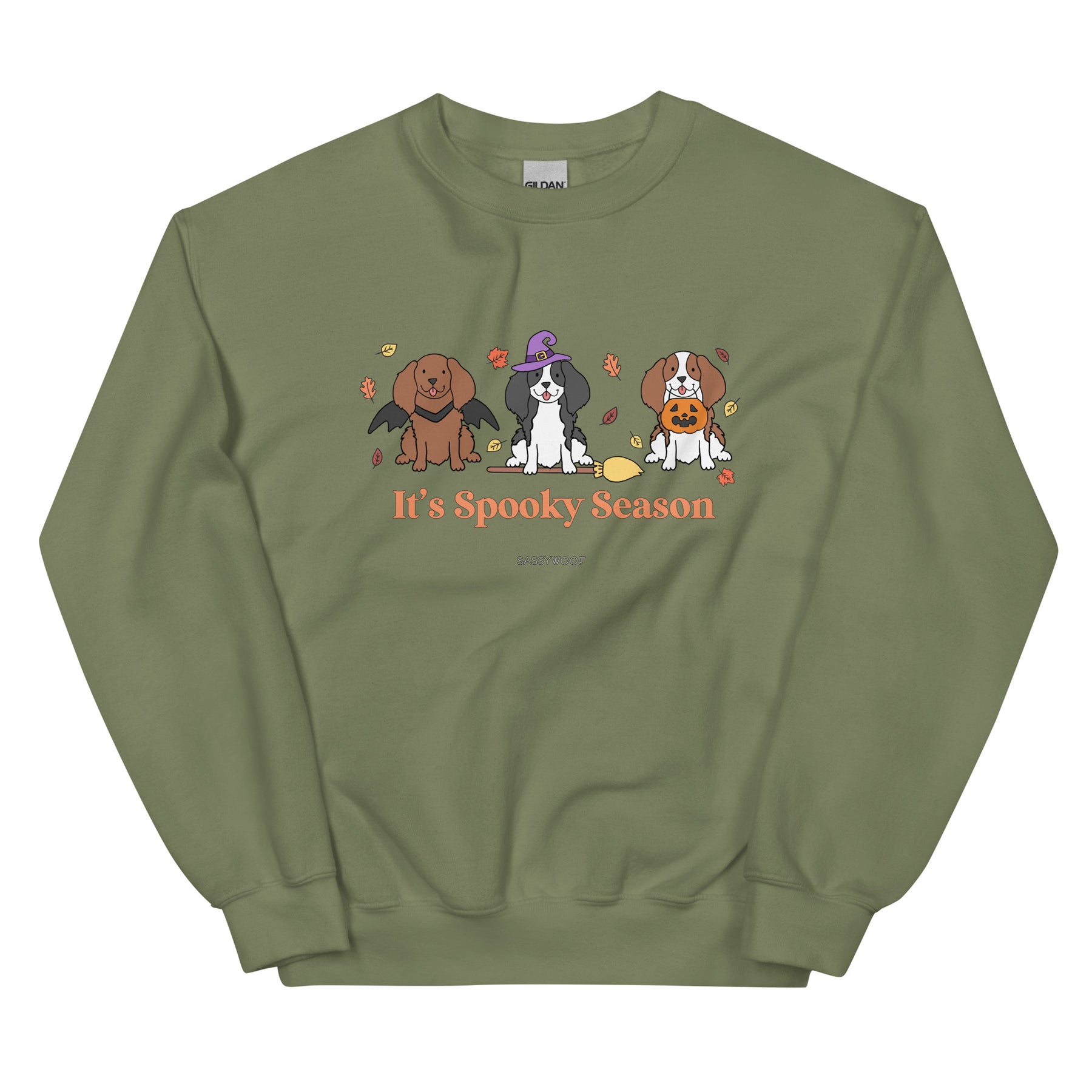 Sweatshirt - It's Spooky Season (CAVS)