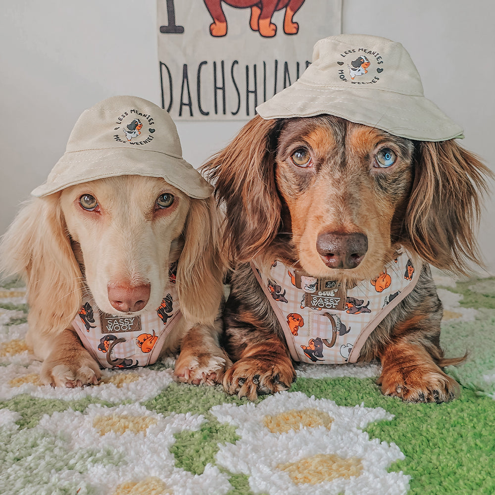 INFLUENCER_CONTENT | @WAFFLESTHEHOTDOG | SIZE XS,S