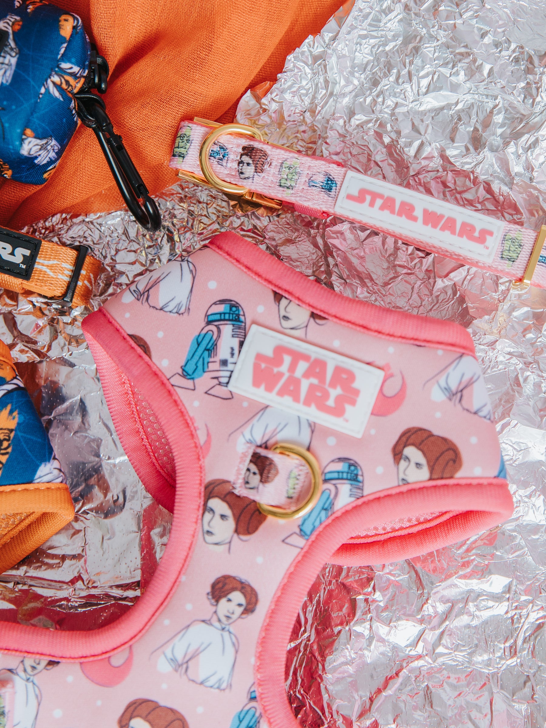 Dog Two Piece Bundle - STAR WARS™ Princess Leia