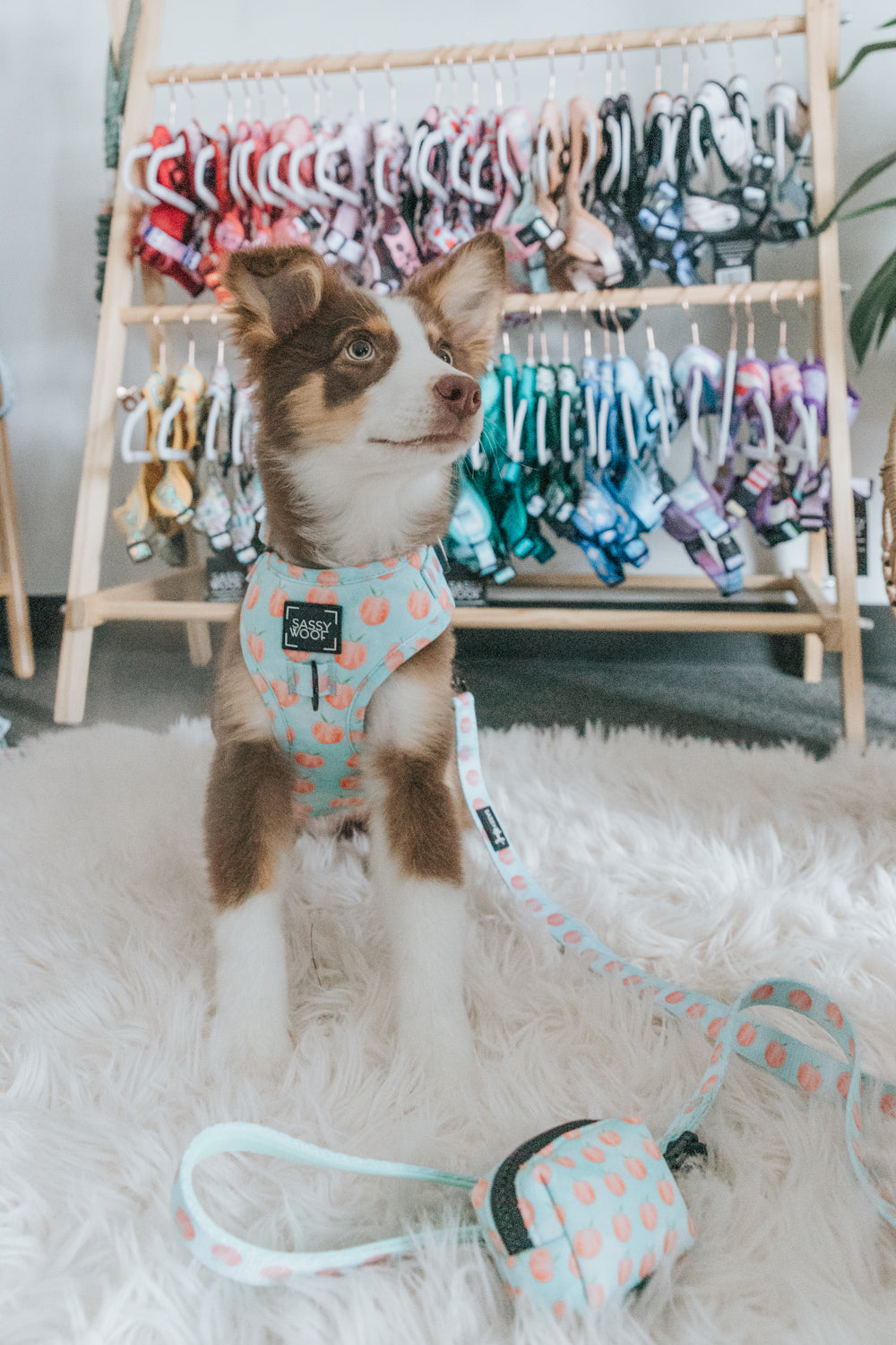 INFLUENCER_CONTENT | @ZEKEYLEAH