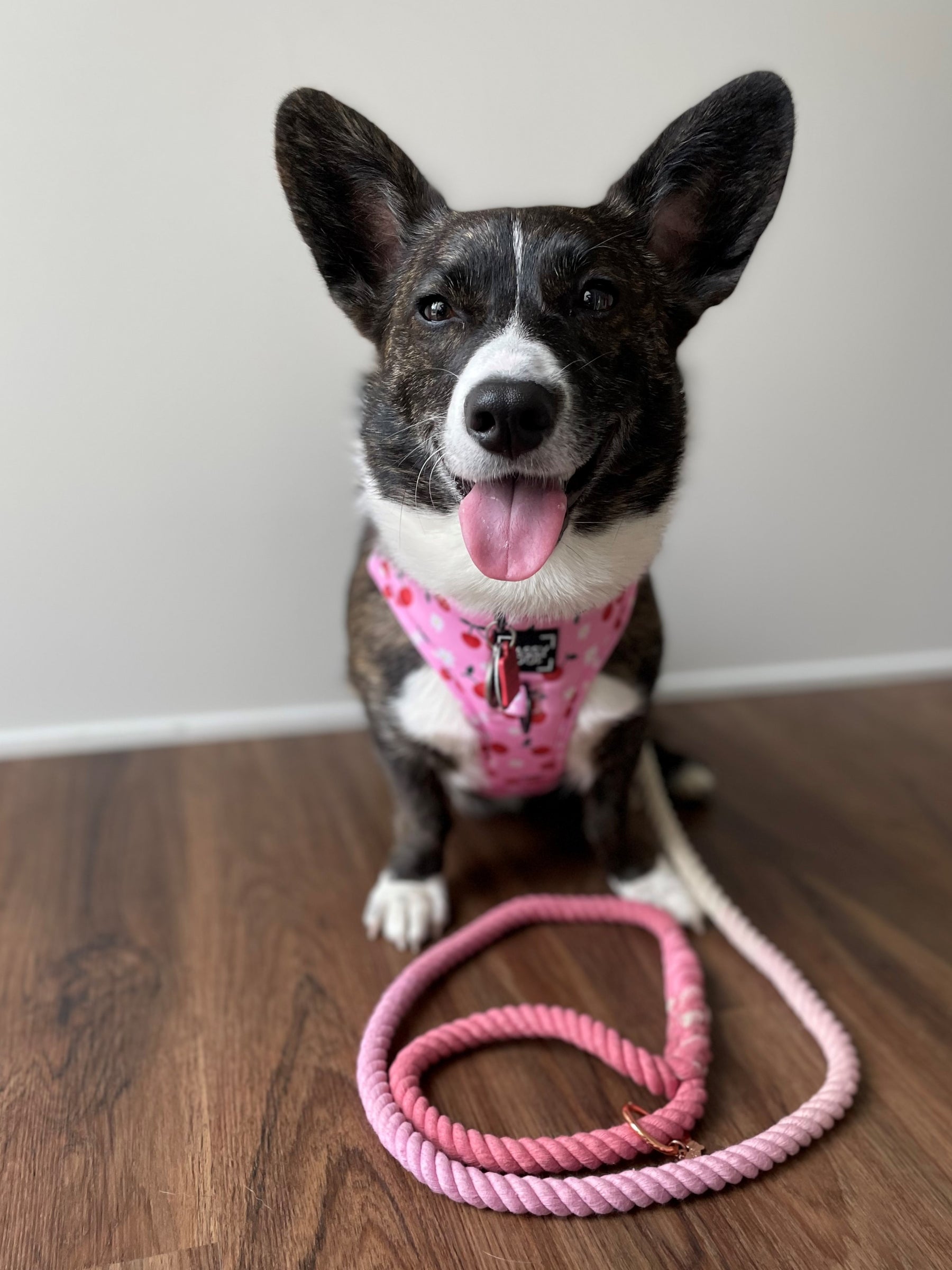 Dog Rope Leash - Rosie