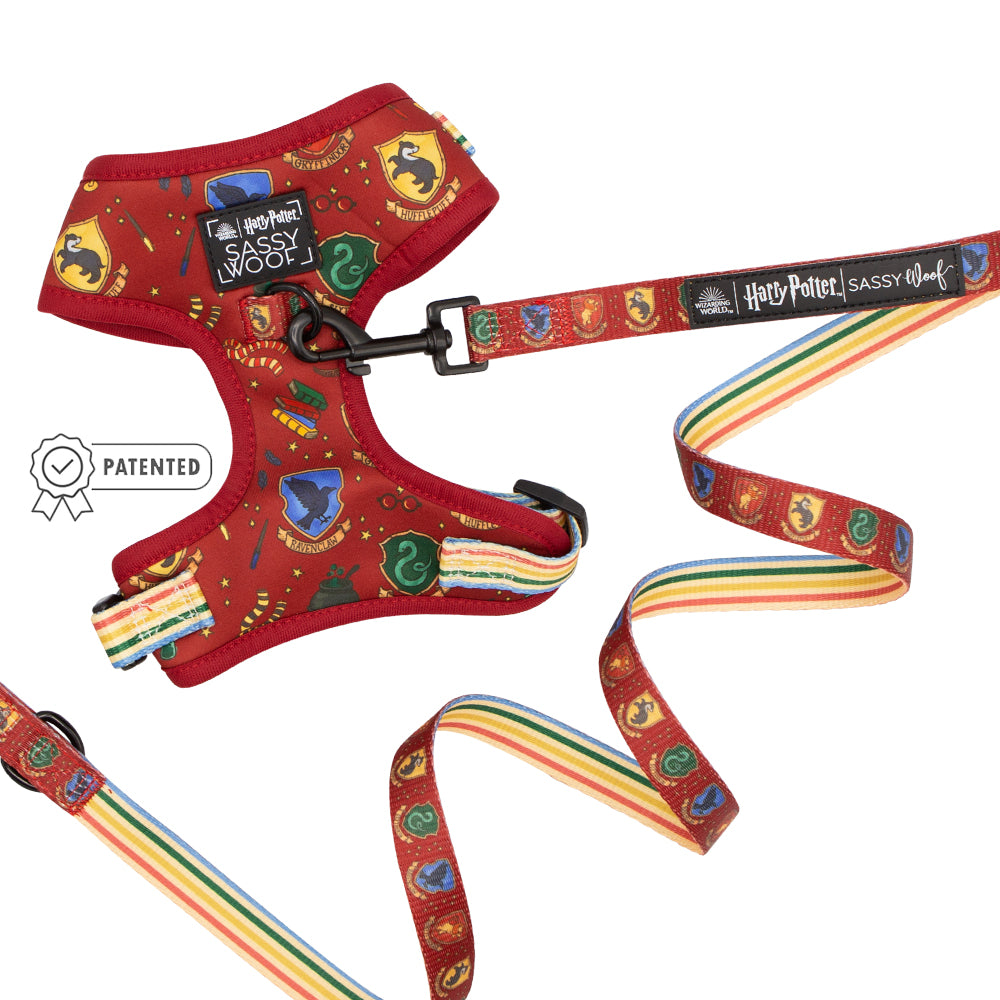 Dog Two Piece Bundle - Harry Potter™