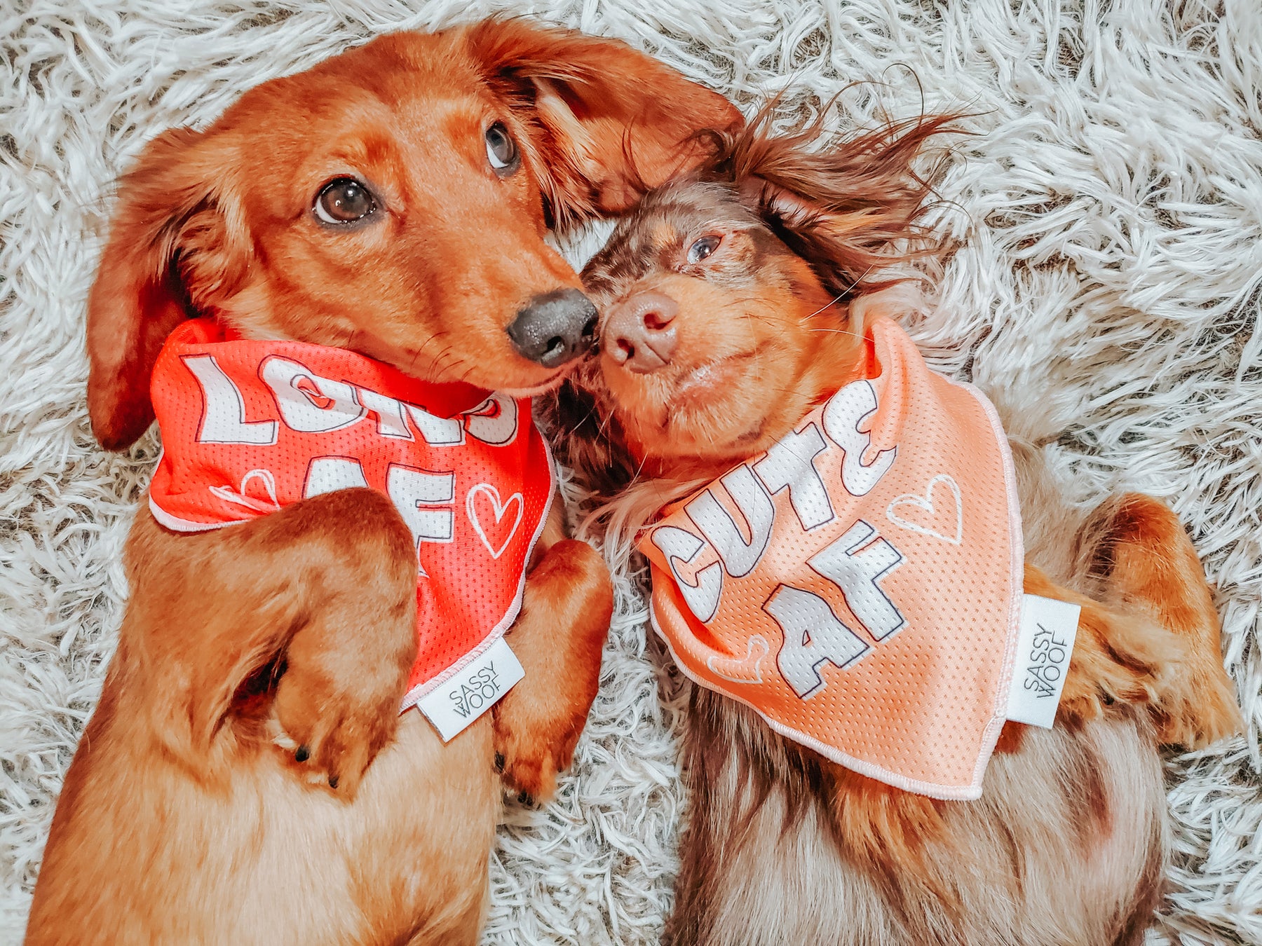 INFLUENCER_CONTENT | @SOPHIELEO.THEWEENIES | SIZE S