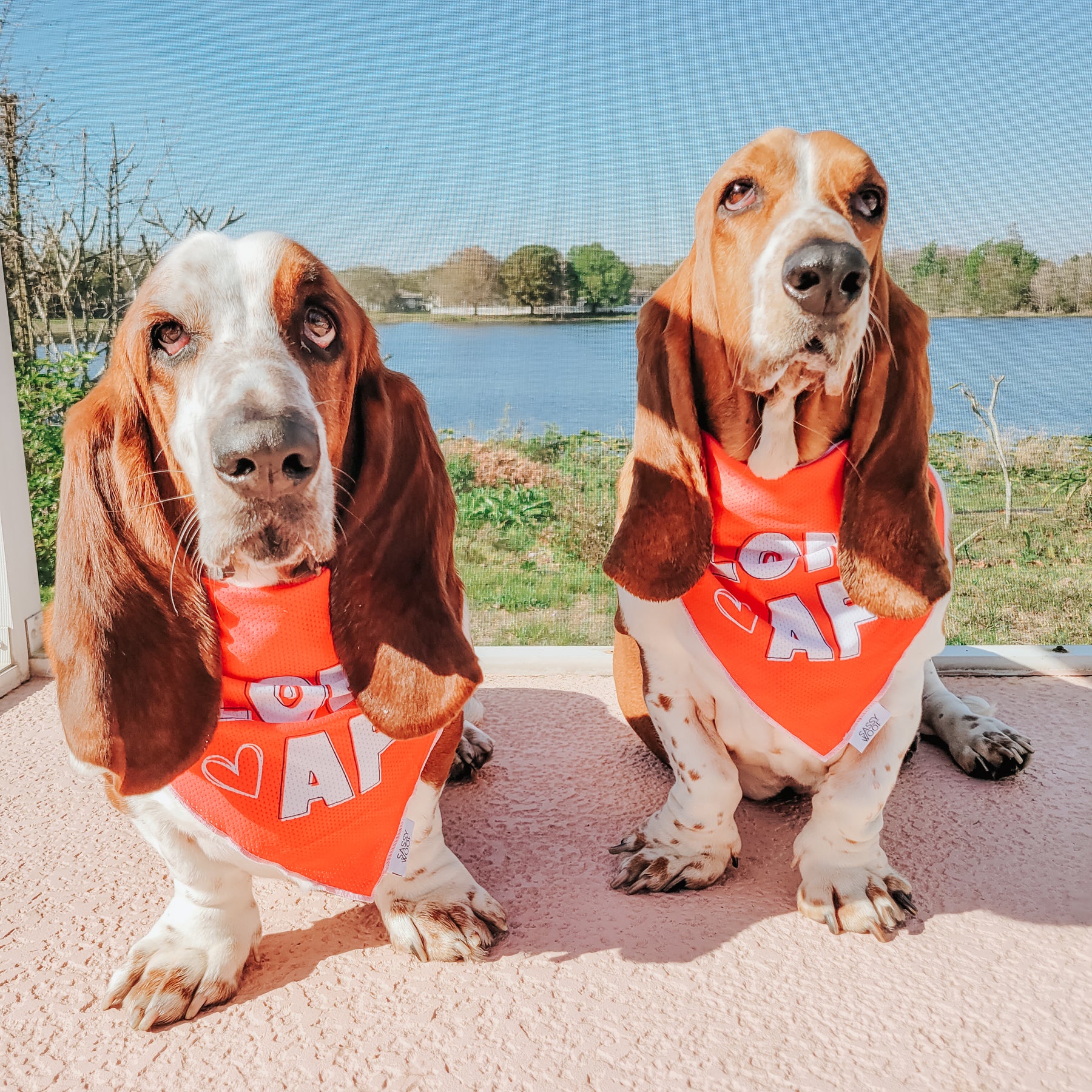 INFLUENCER_CONTENT | @WARRENANDBRISTOLTHEBASSETS | SIZE L
