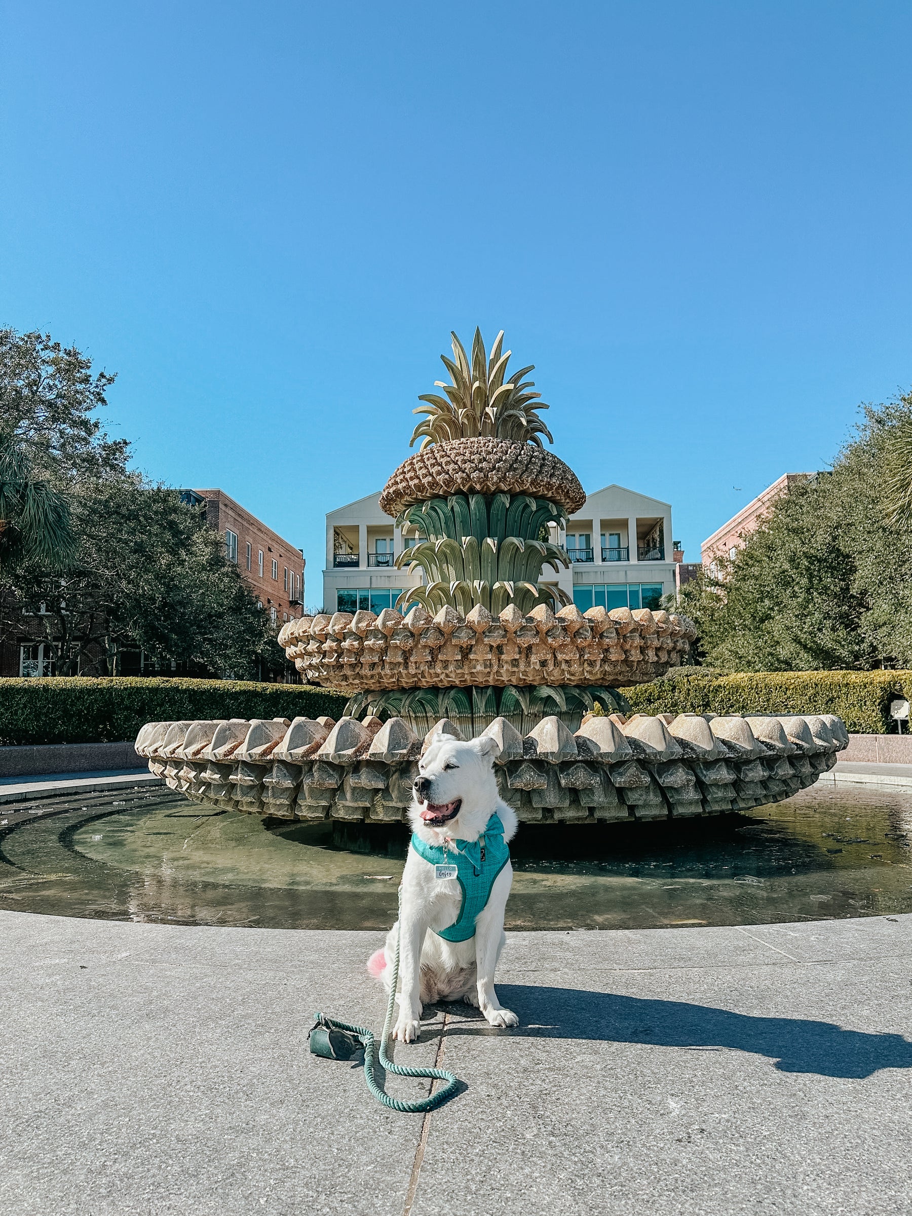 INFLUENCER_CONTENT | @CASEYTHEPYRMIX | SIZE XL