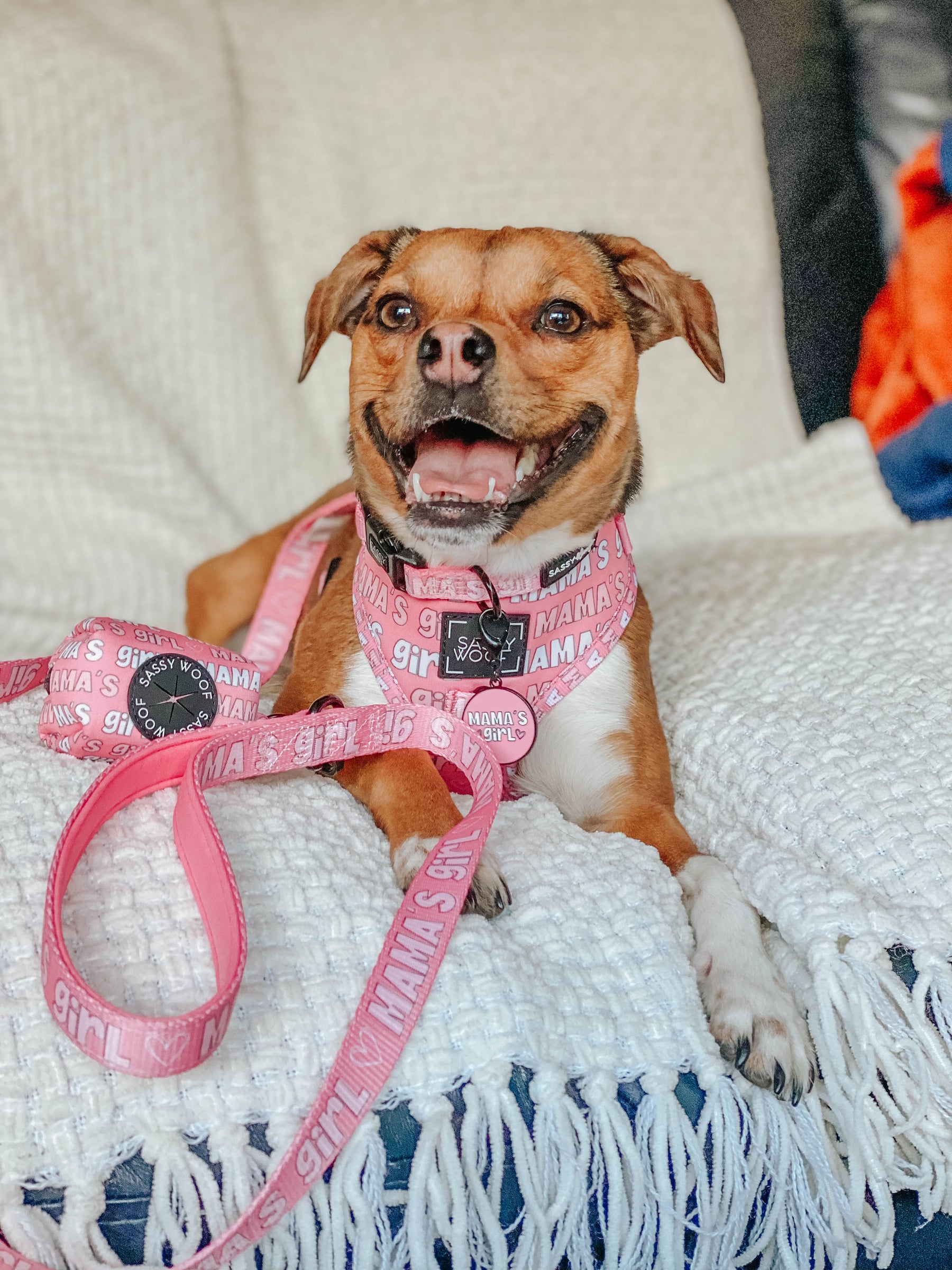 INFLUENCER_CONTENT | @LITTLEWIGGLYWRIGLEY