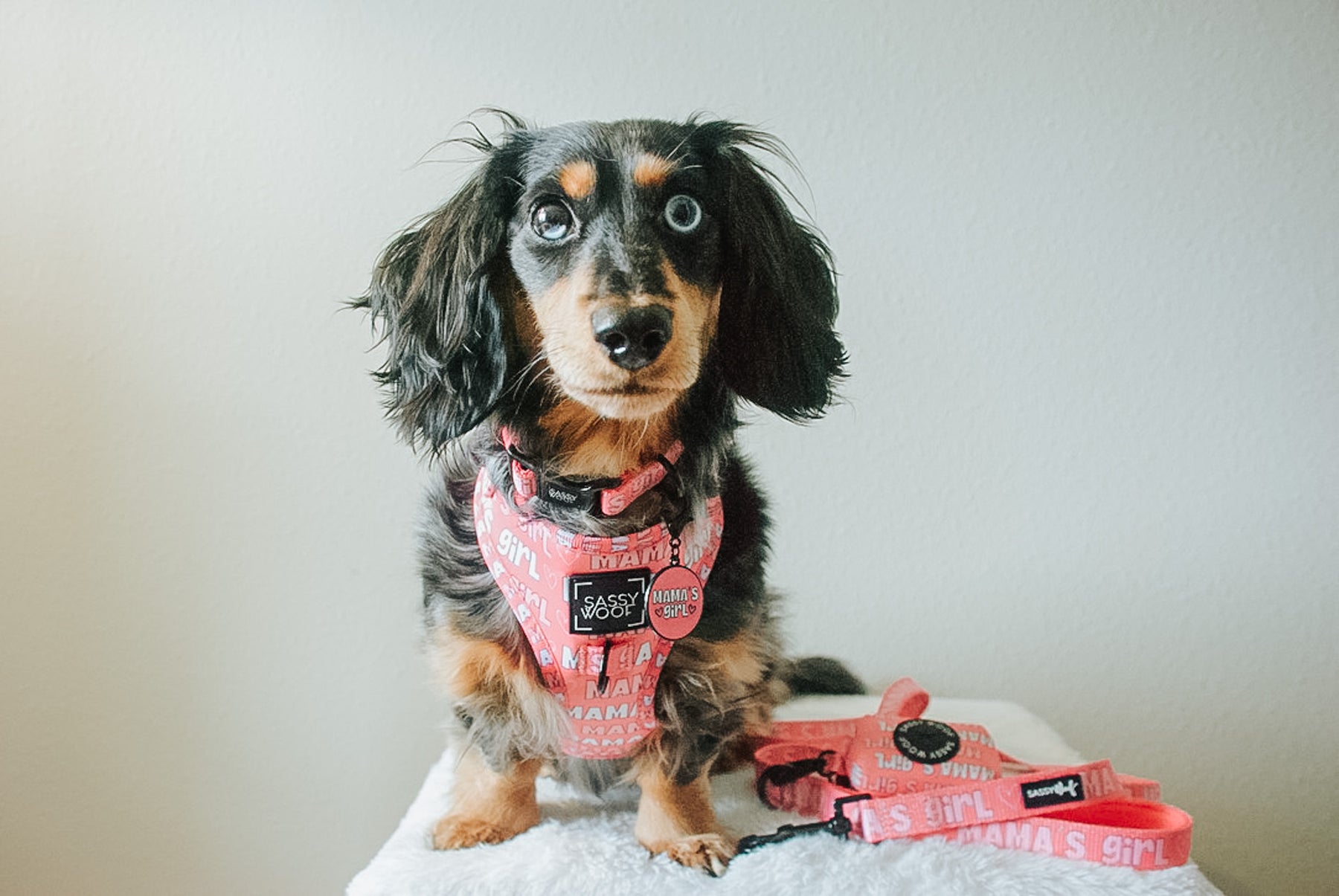 INFLUENCER_CONTENT | @MARTHAMAYAWASHINGTON