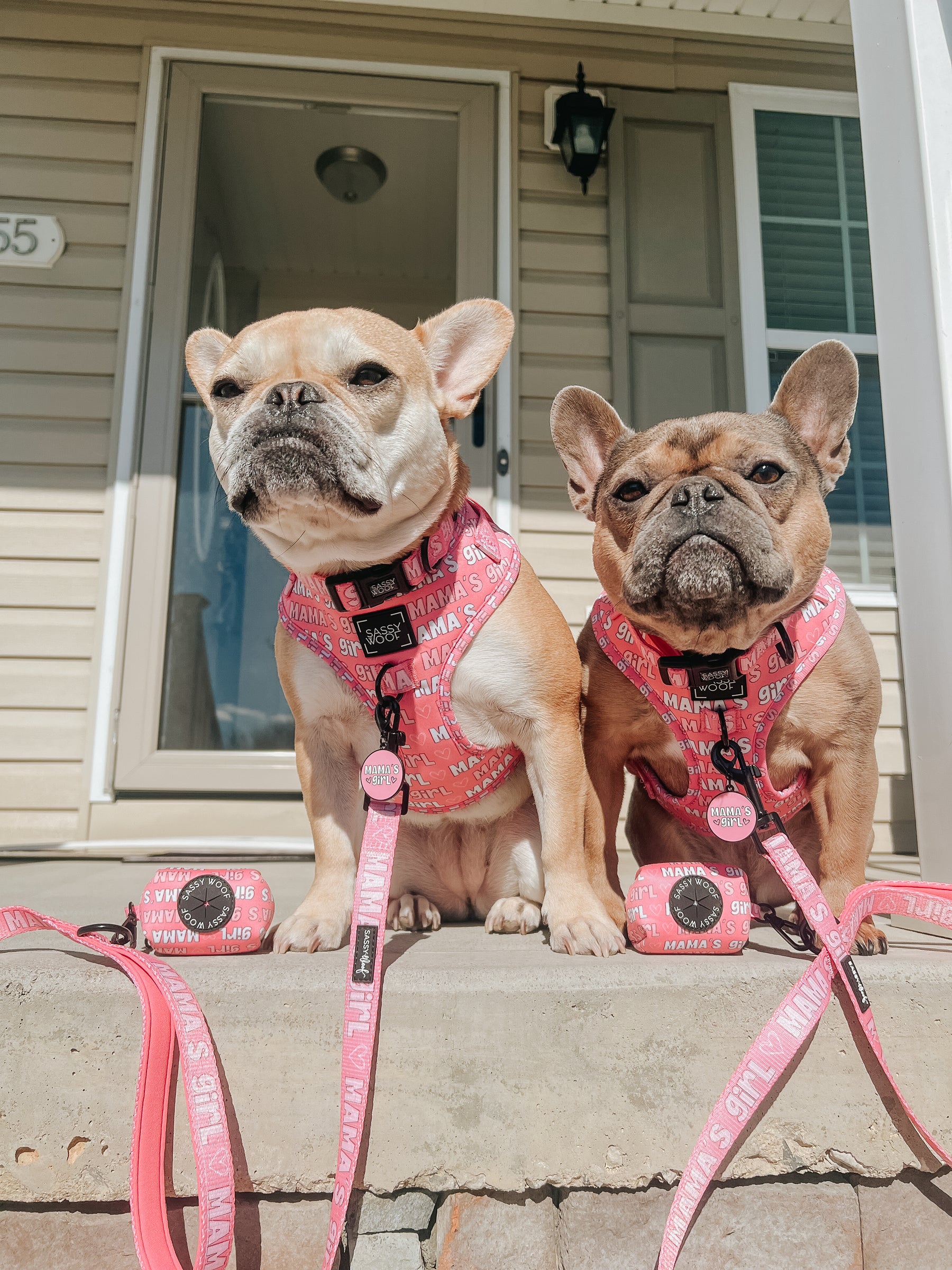 INFLUENCER_CONTENT | @PAIROF2FRENCHBULLS