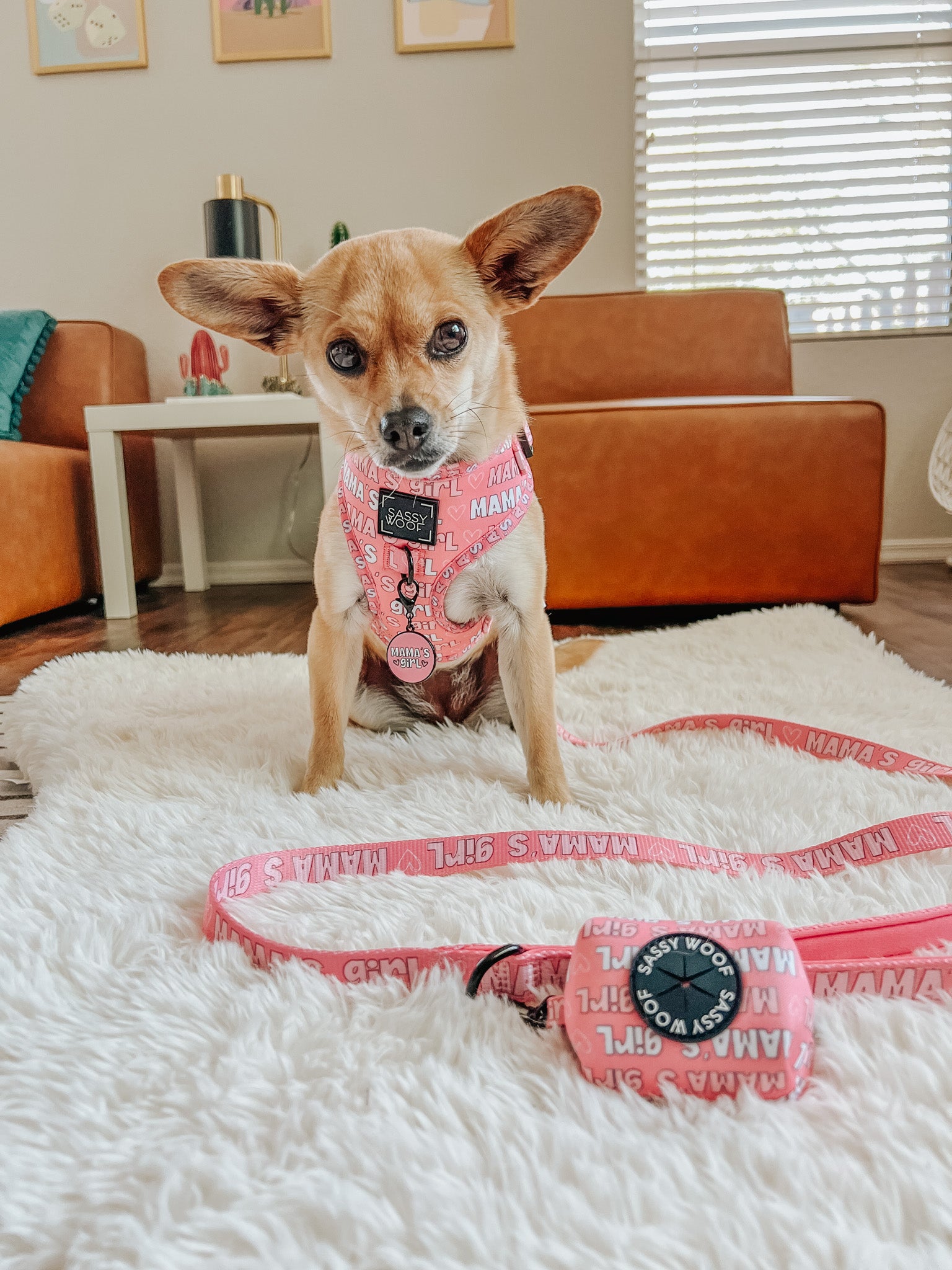 INFLUENCER_CONTENT | @SALTEDCARMYLATTE