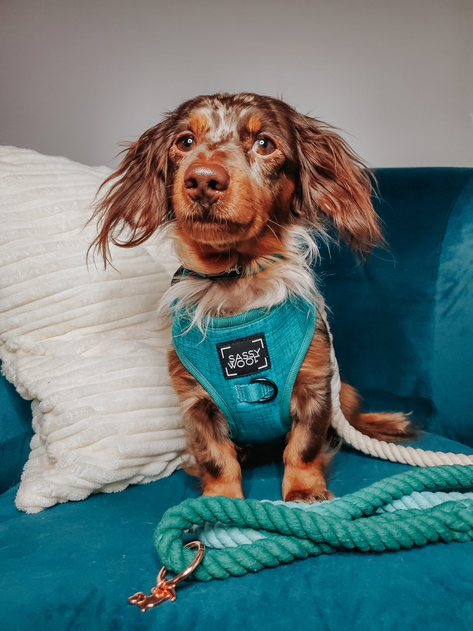 INFLUENCER_CONTENT | @SOPHIELEO.THEWEENIES | SIZE XS