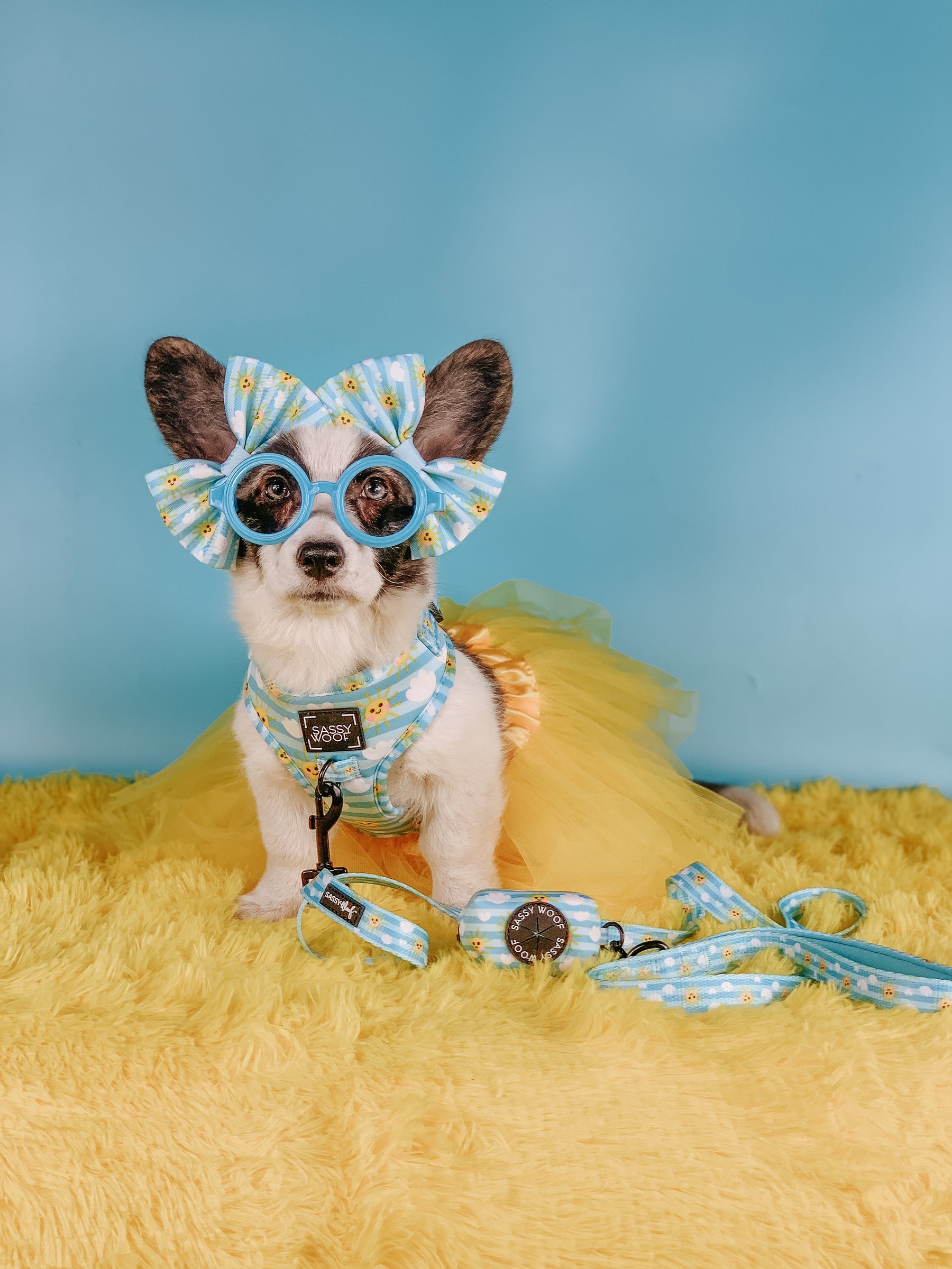 INFLUENCER_CONTENT | @LIBERACE_MINIPIG_DIVADUDE