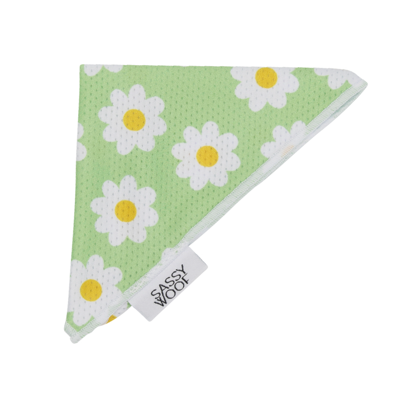 Dog Bandana - Daisy