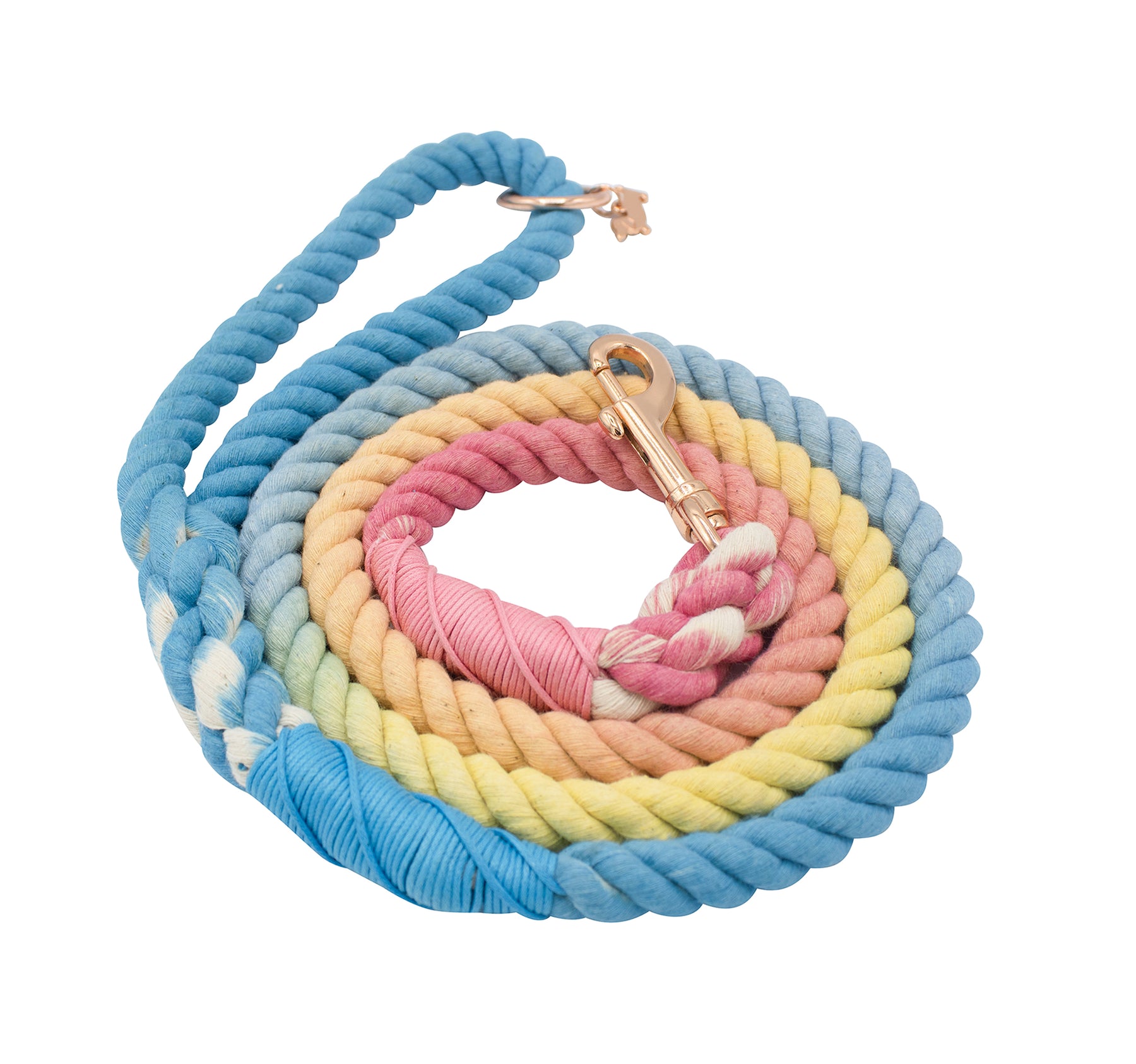 Dog Rope Leash - Bright