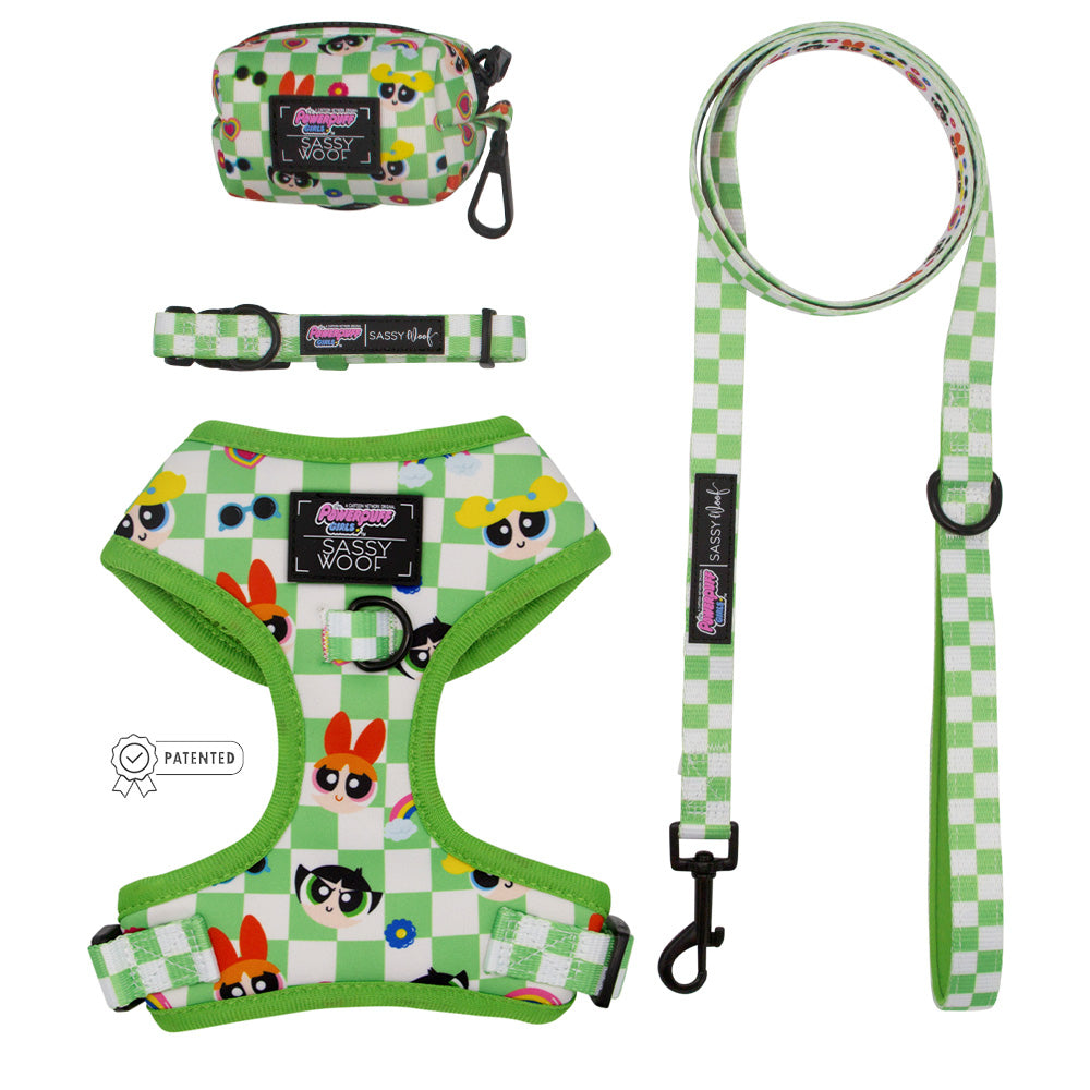 Dog Four Piece Bundle - The Powerpuff Girls™ (Green)